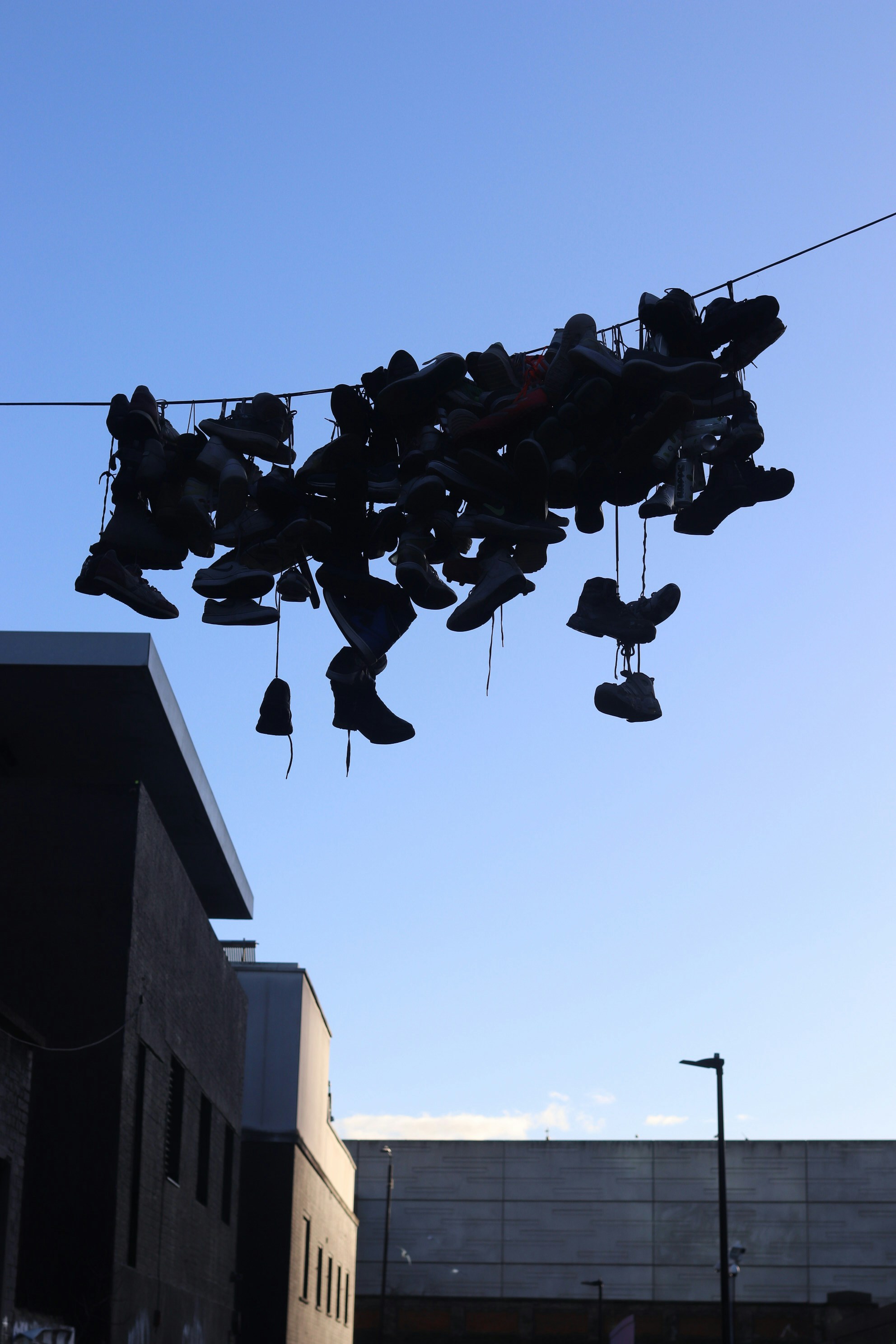 Waiting for the Shoe to Drop: How Fight-or-Flight Became Your Default Setting