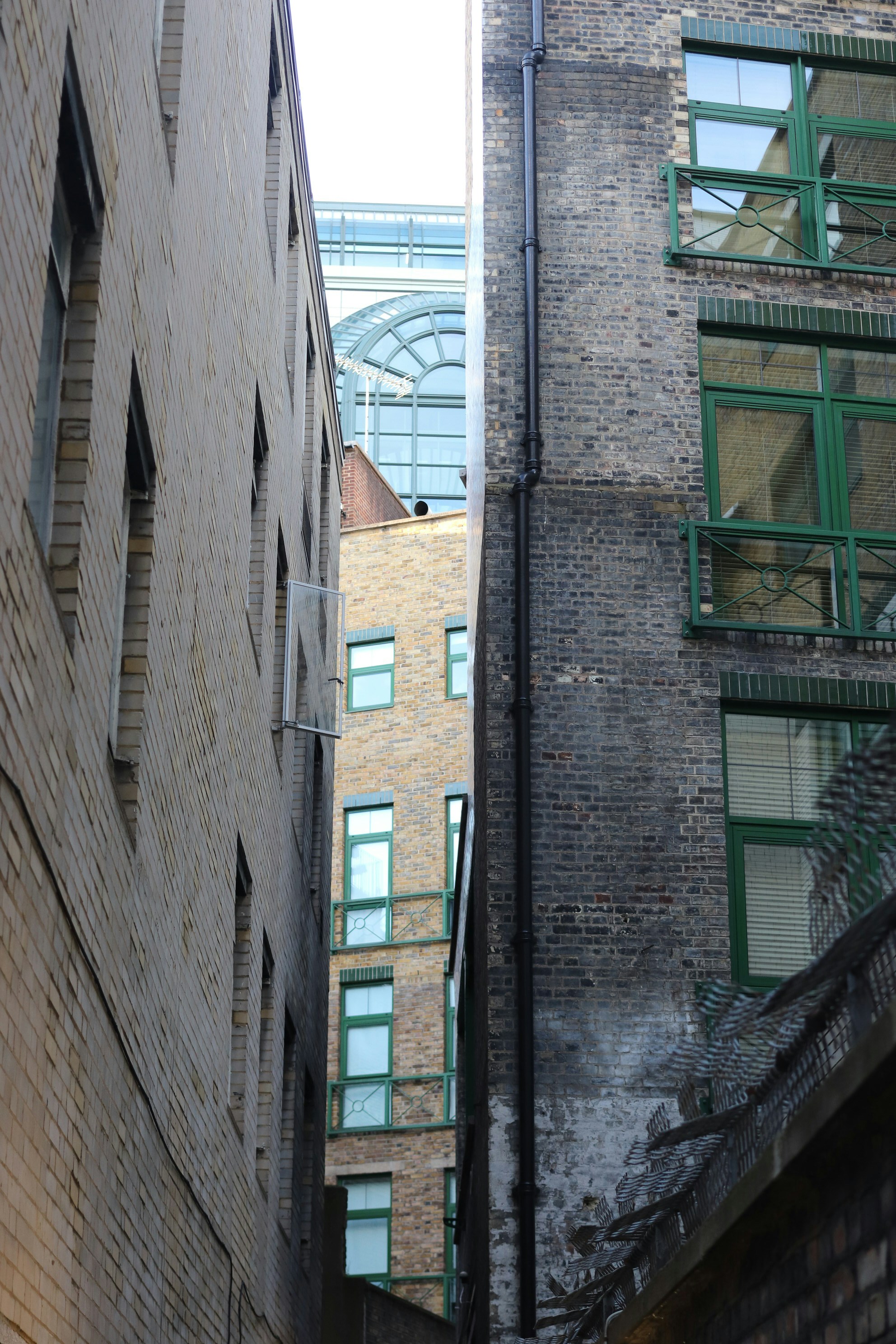 Photo by tanyabarrow