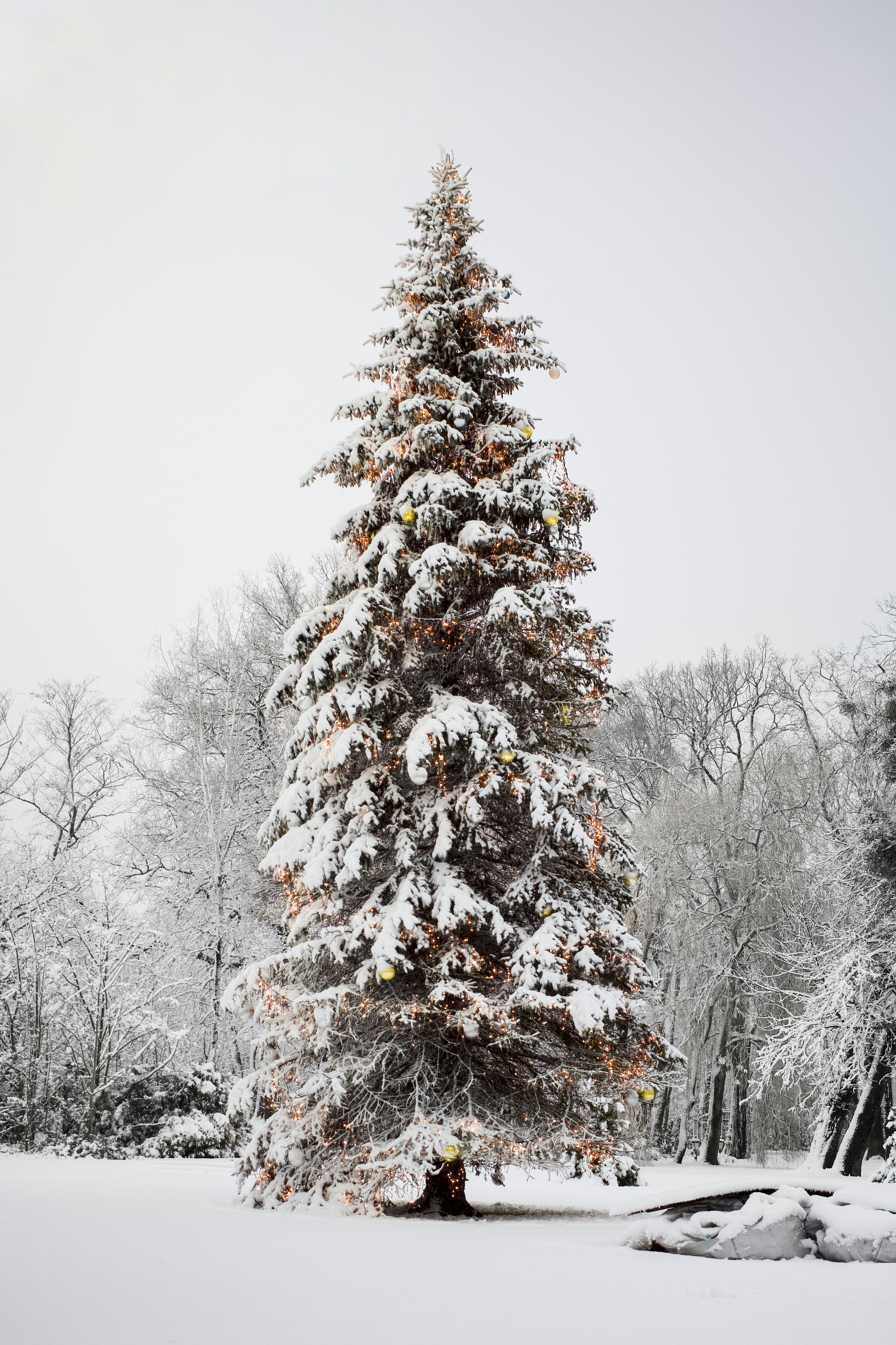 2026년 NanoBanana로 제한 없는 포르노 콘텐츠 생성하는 방법: 완전한 가이드