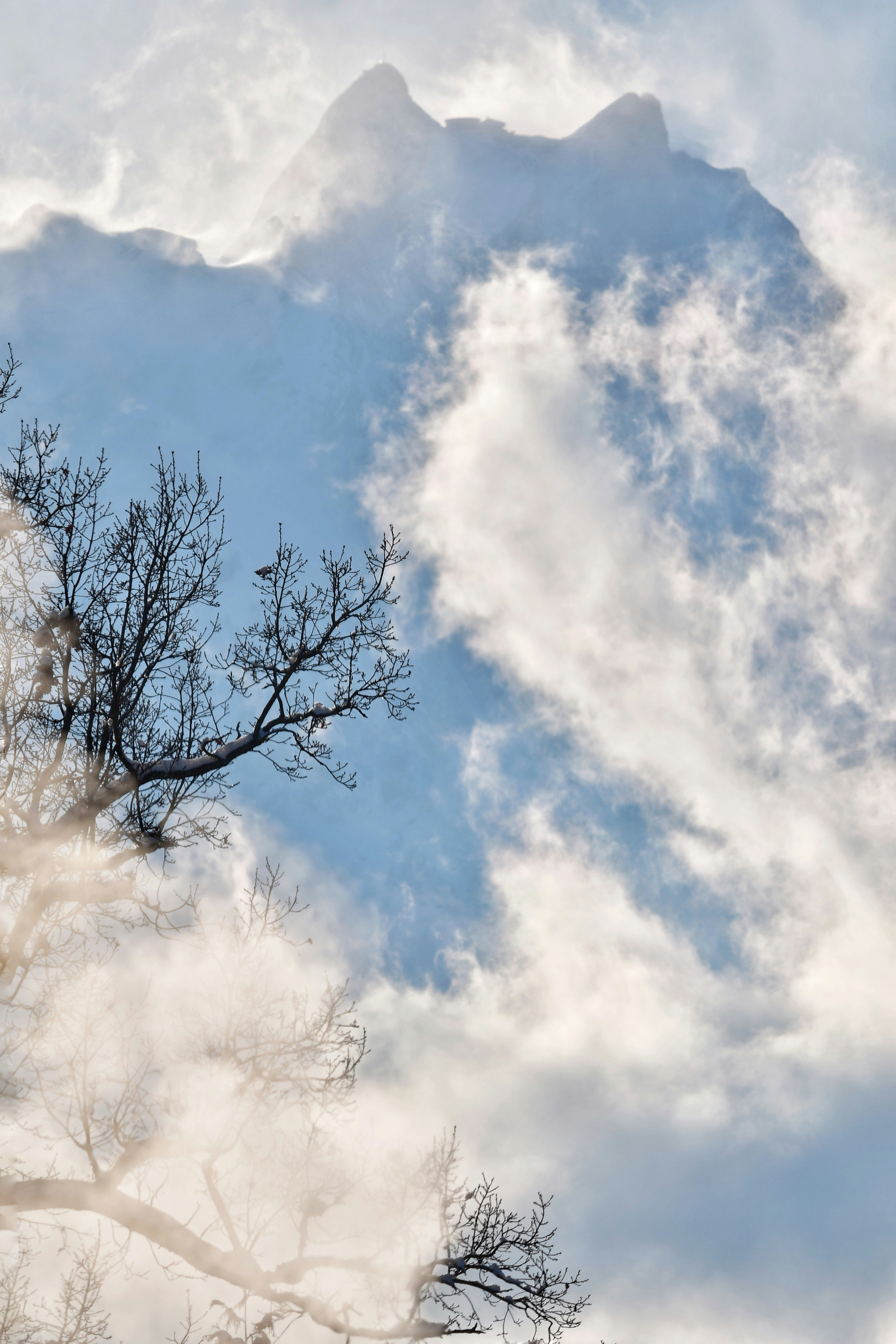 Photo by pedrino5_official