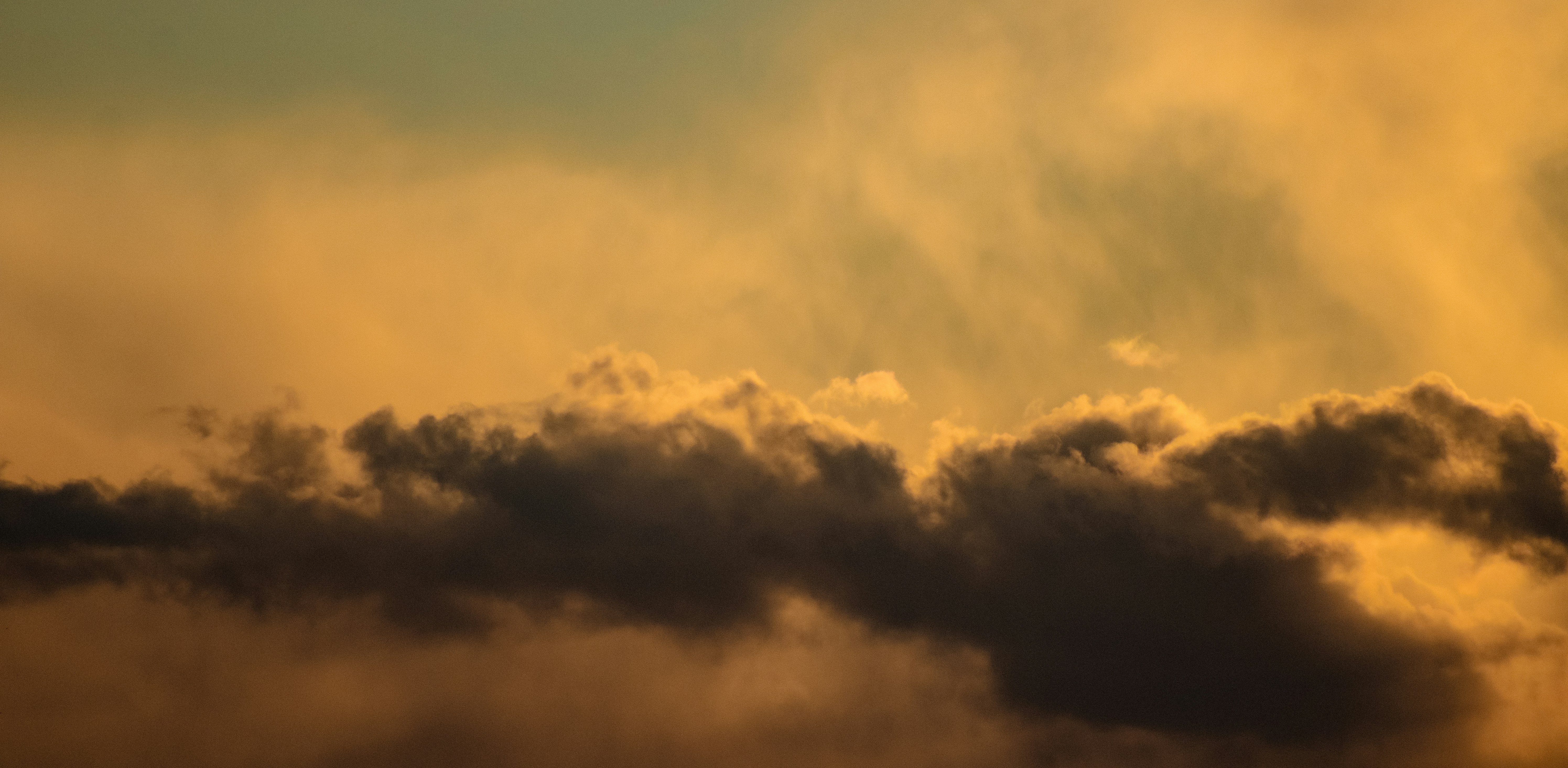 Photo by kolesnykyan