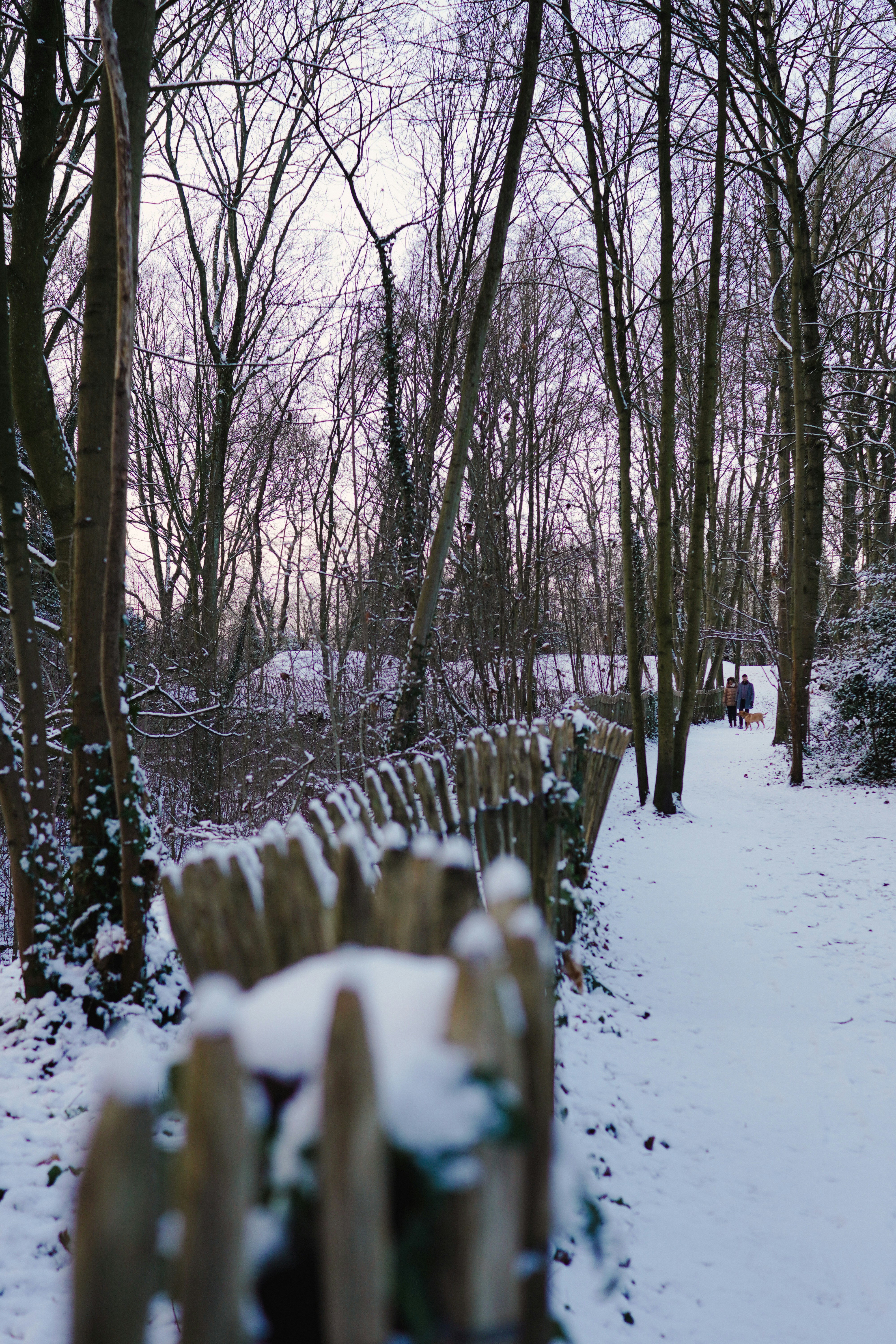 Photo by lau_cocovrard