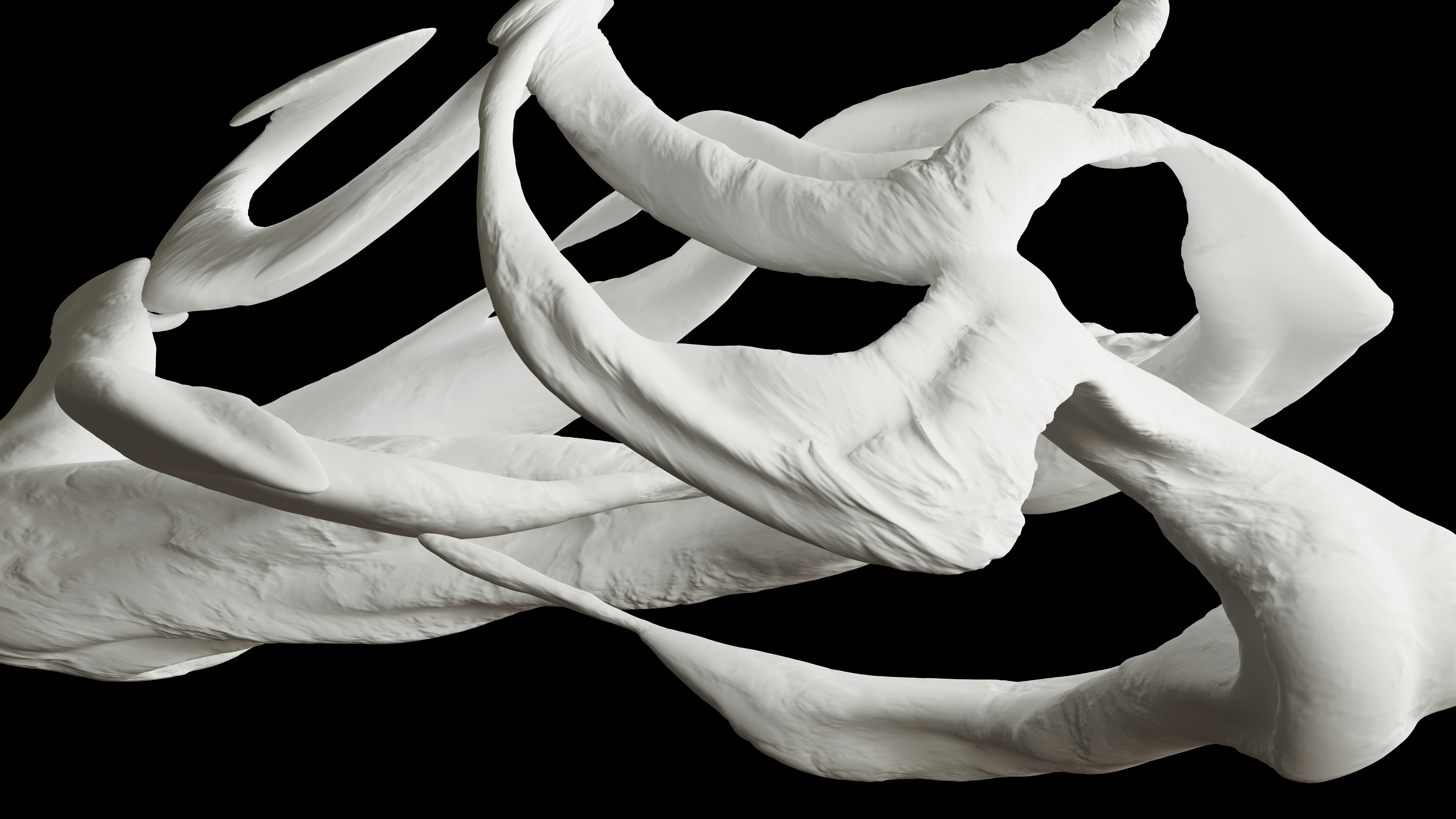 검은 배경에 흰색 추상 조각