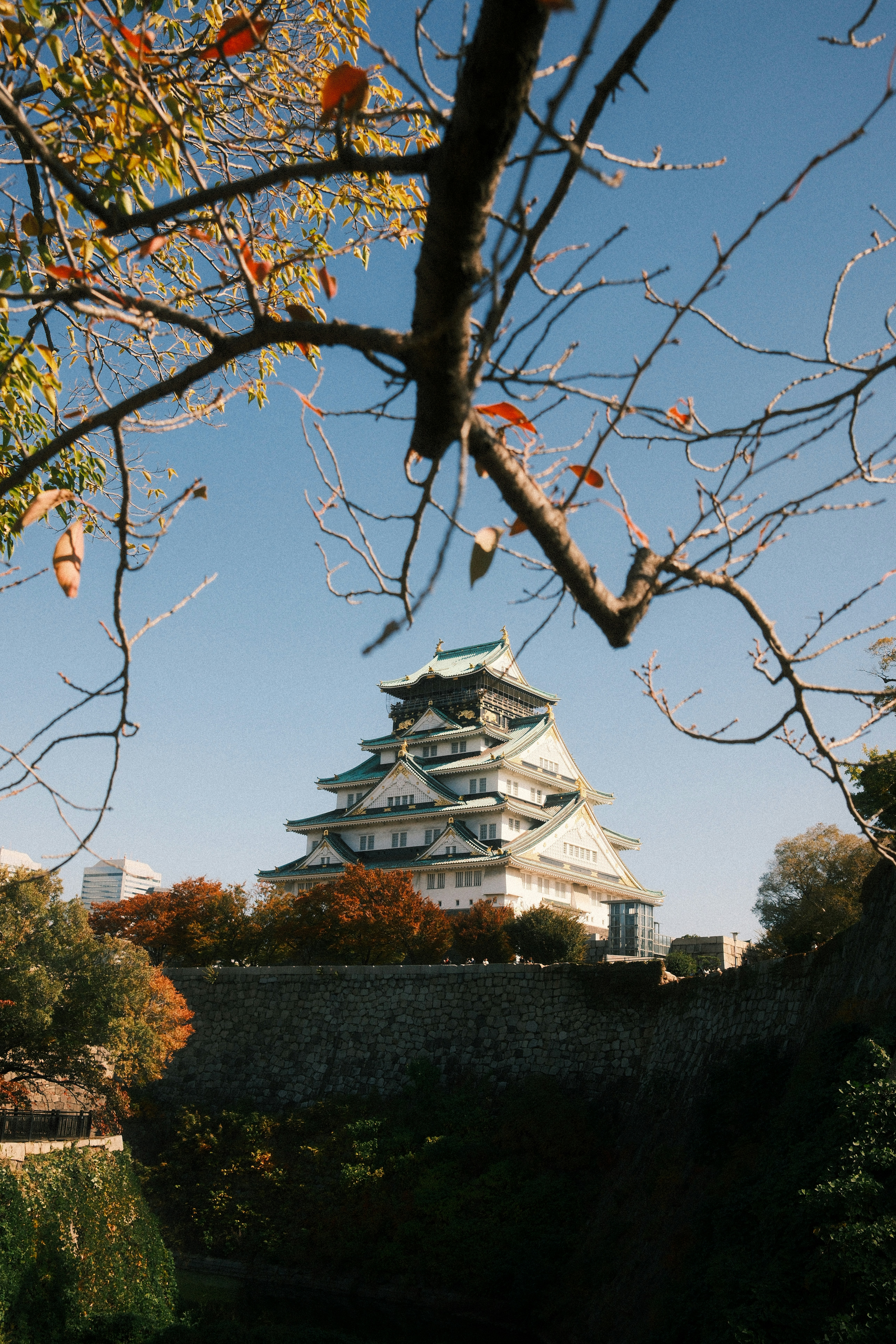 Osaka Castle