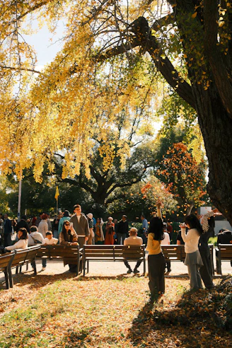 People enjoying a park with golden autumn trees