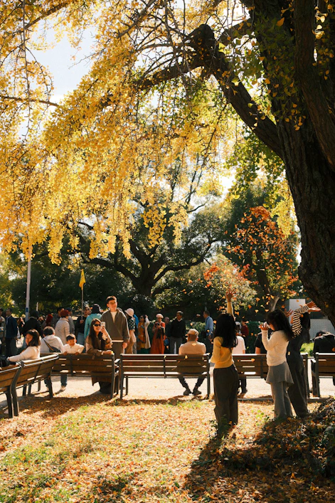 People enjoying a park with golden autumn trees