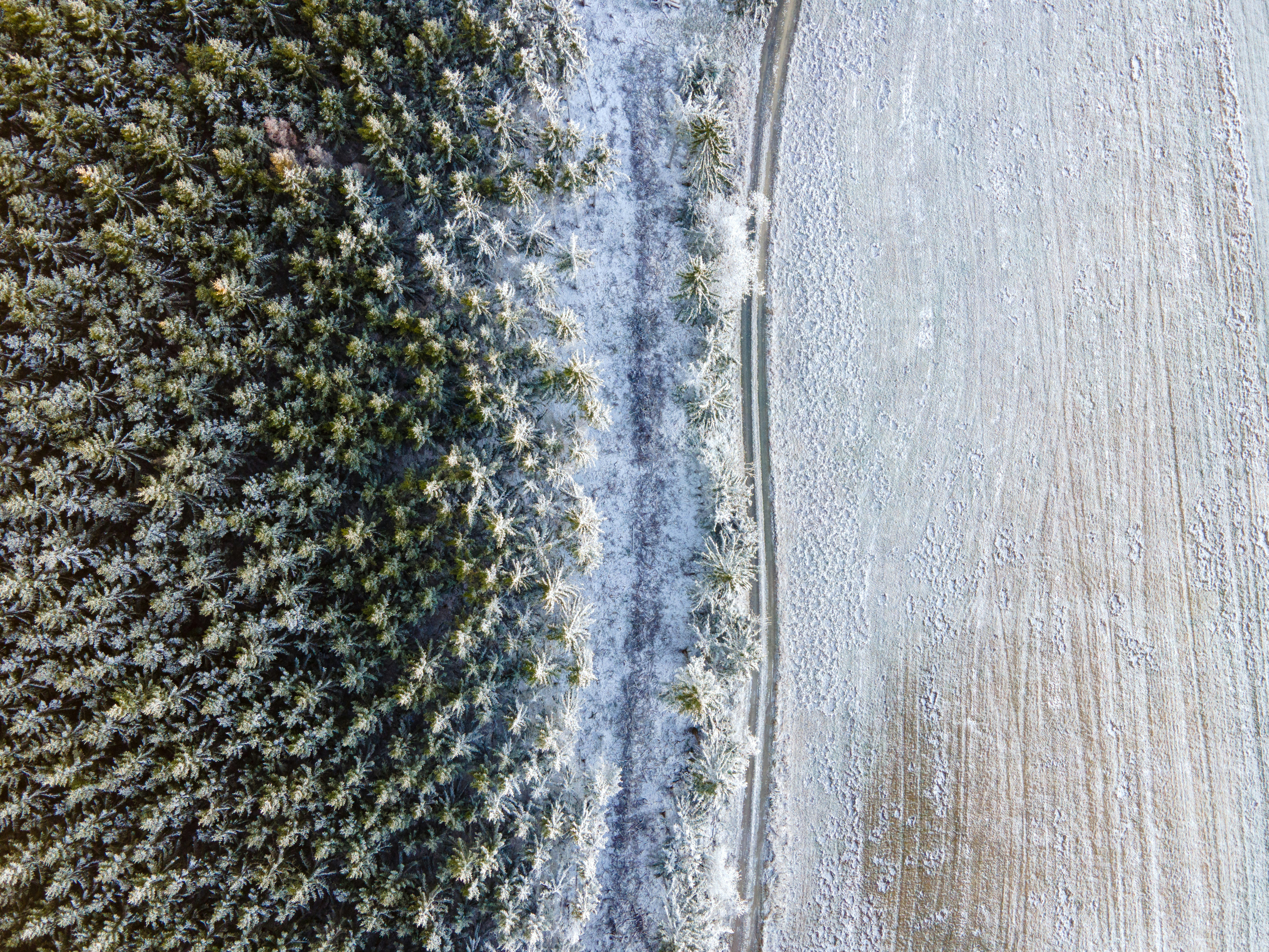 Aerial view of a snow-covered forest and field
