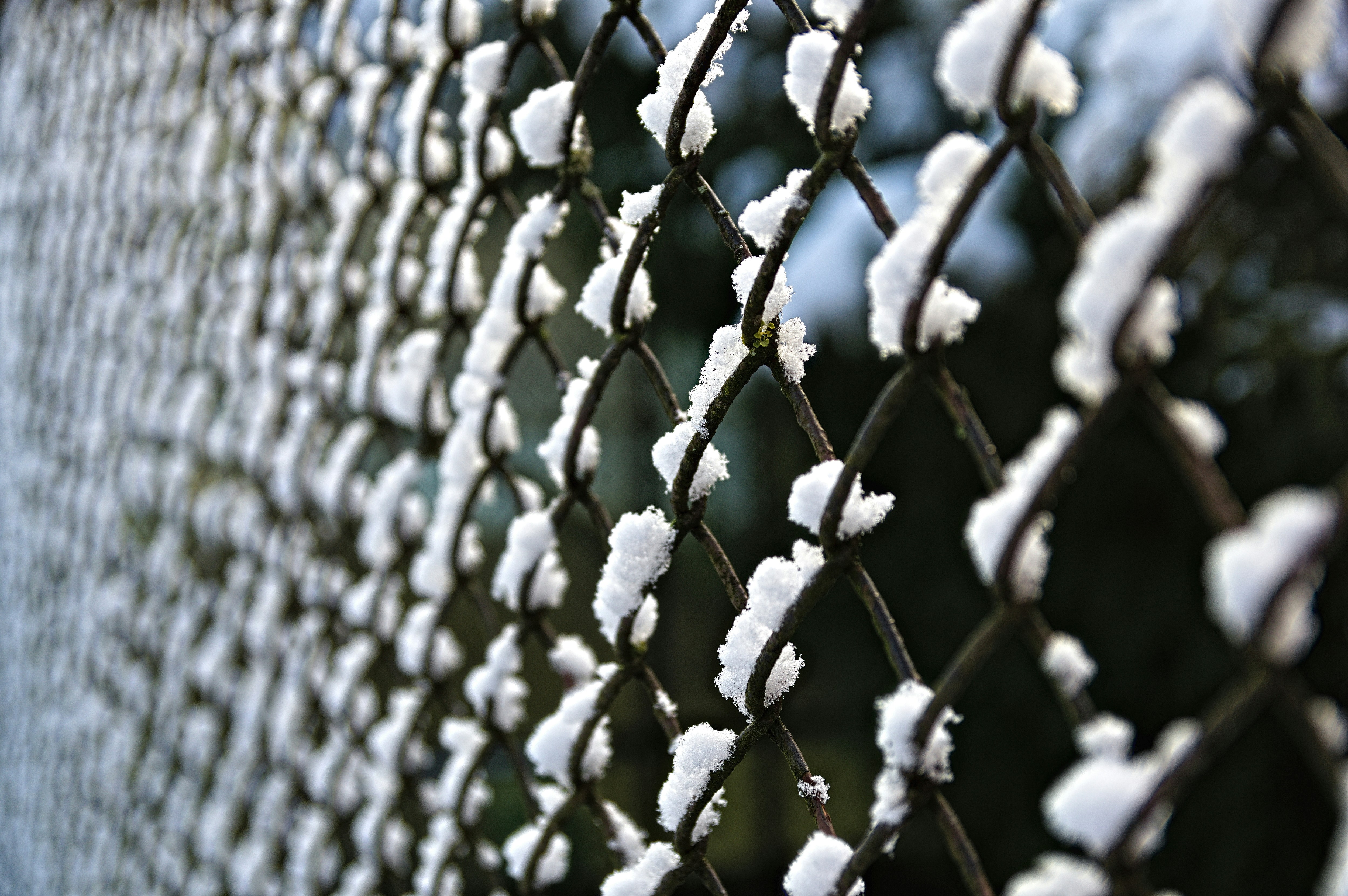 Cold‑Chain Hacks & Pricing Playbook for Fresh Market Vendors (2026 Advanced Strategies)