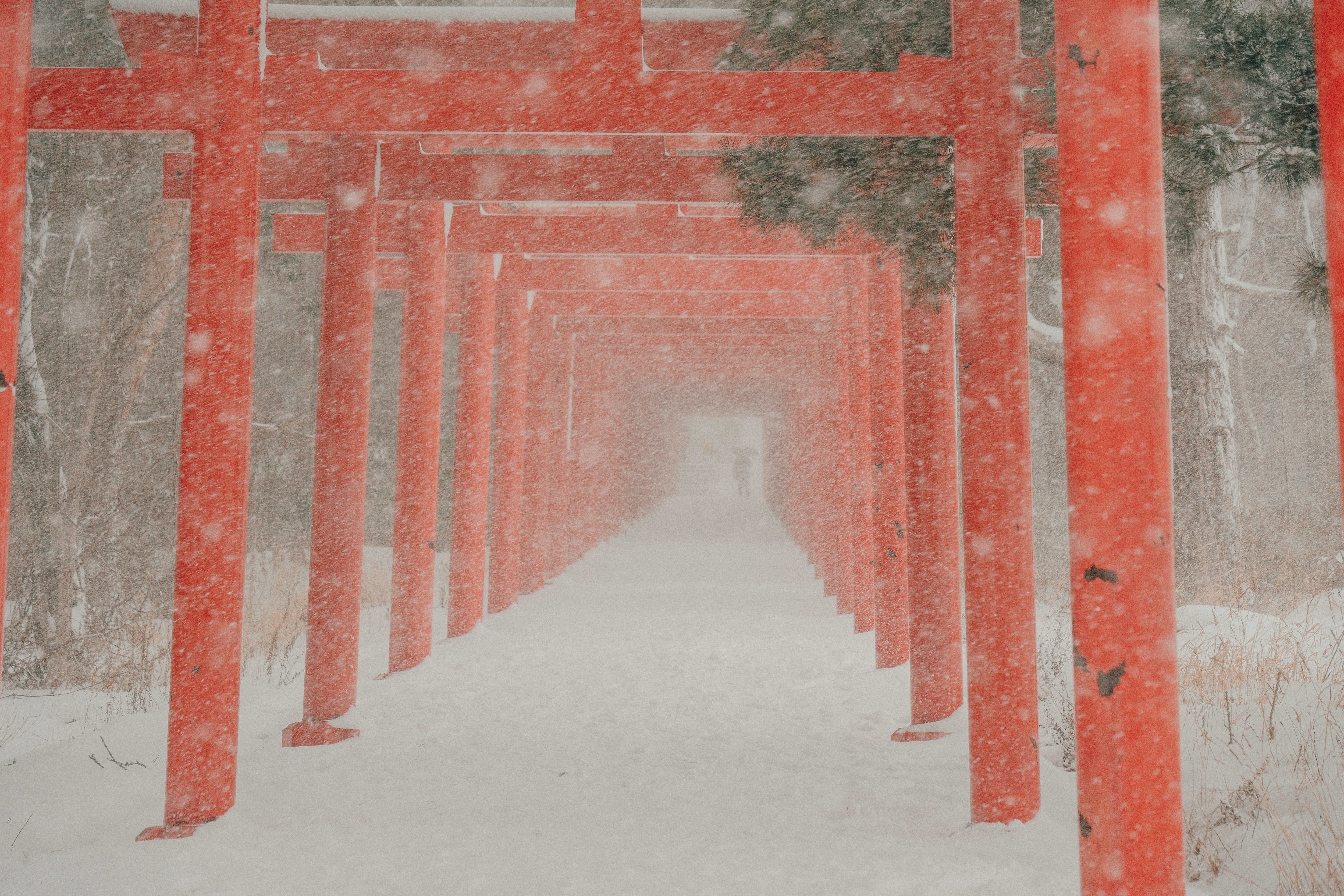 Red torii gates covered in snow during winter.