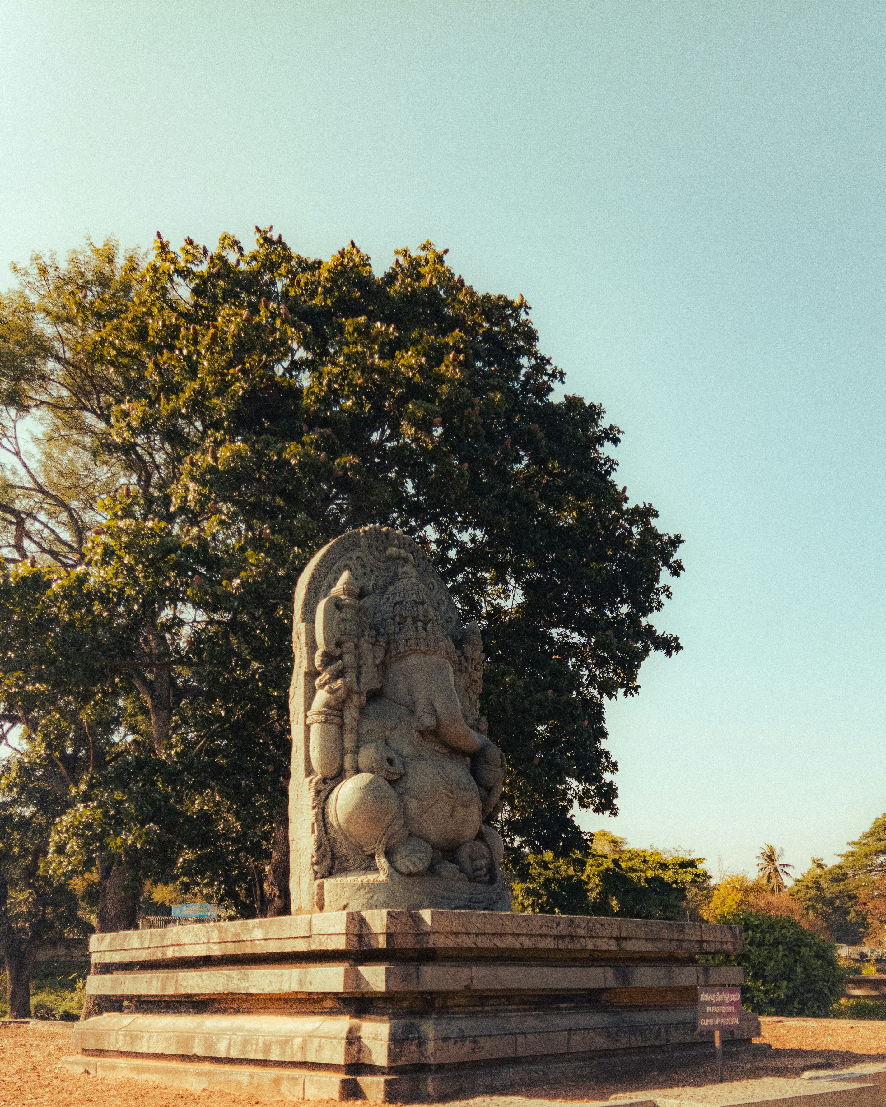 Photo by aplhacharlie62