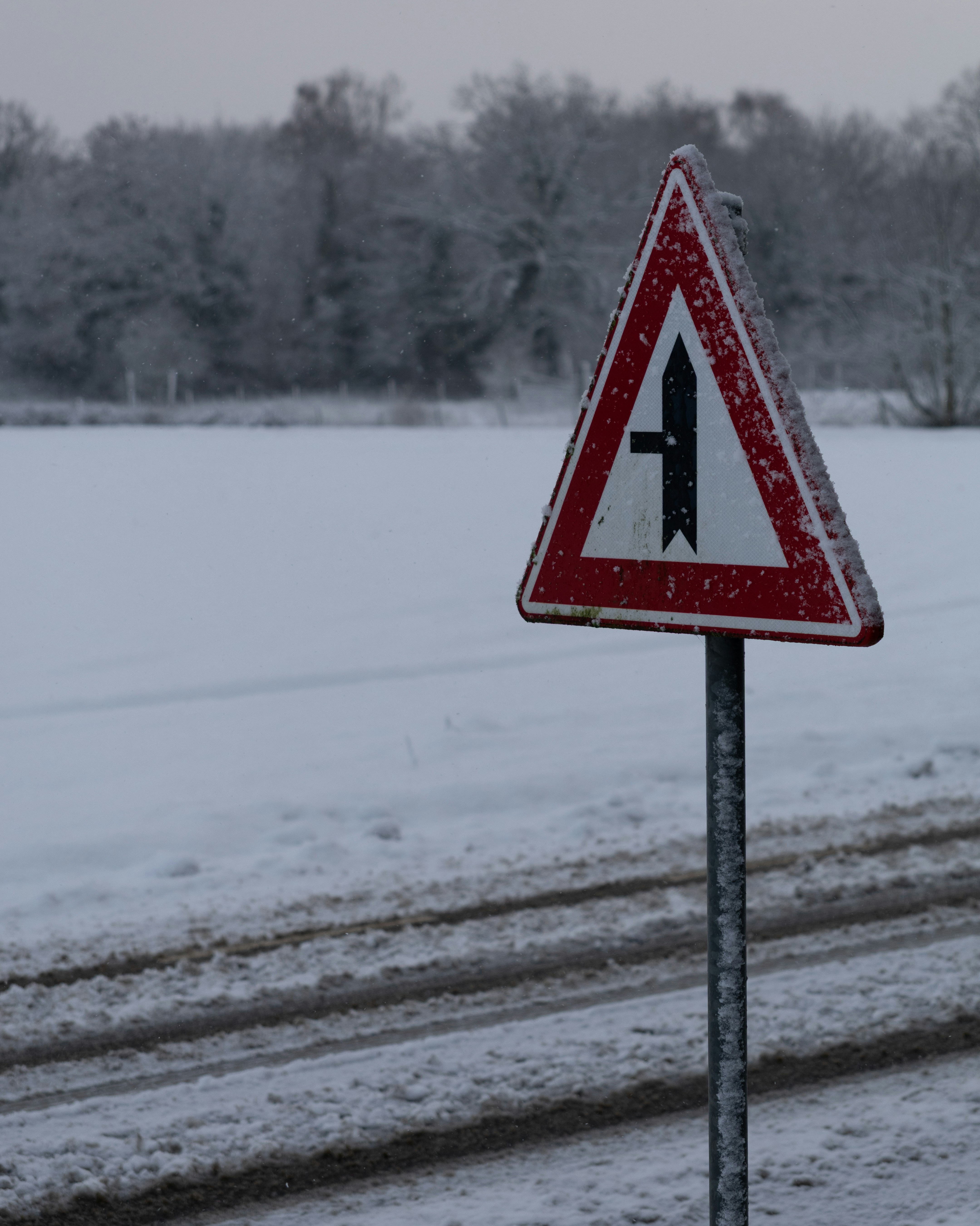 Photo by elkeburhenne