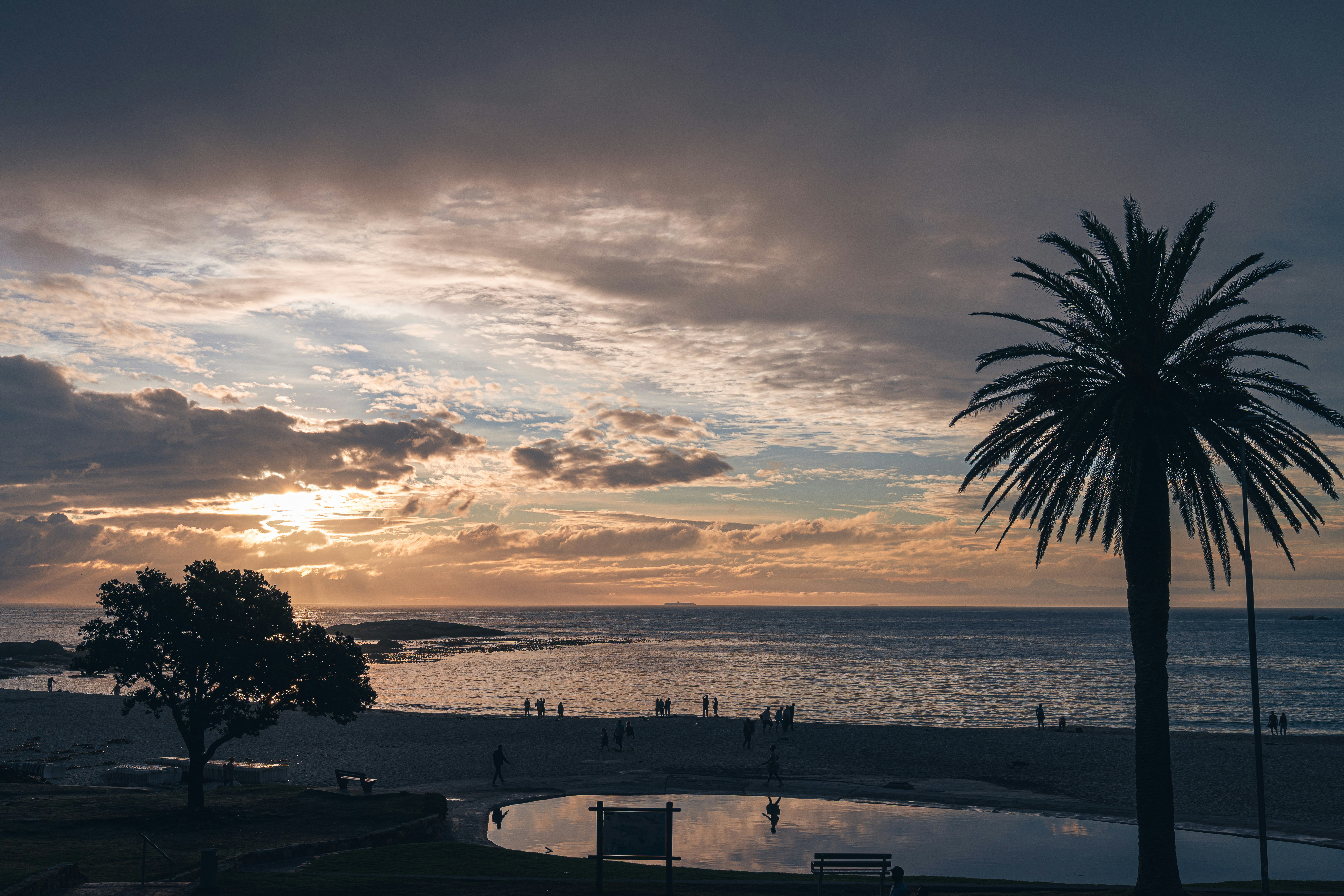 Eine Palme zeichnete sich vor einem wolkigen Sonnenuntergang über dem Ozean ab.