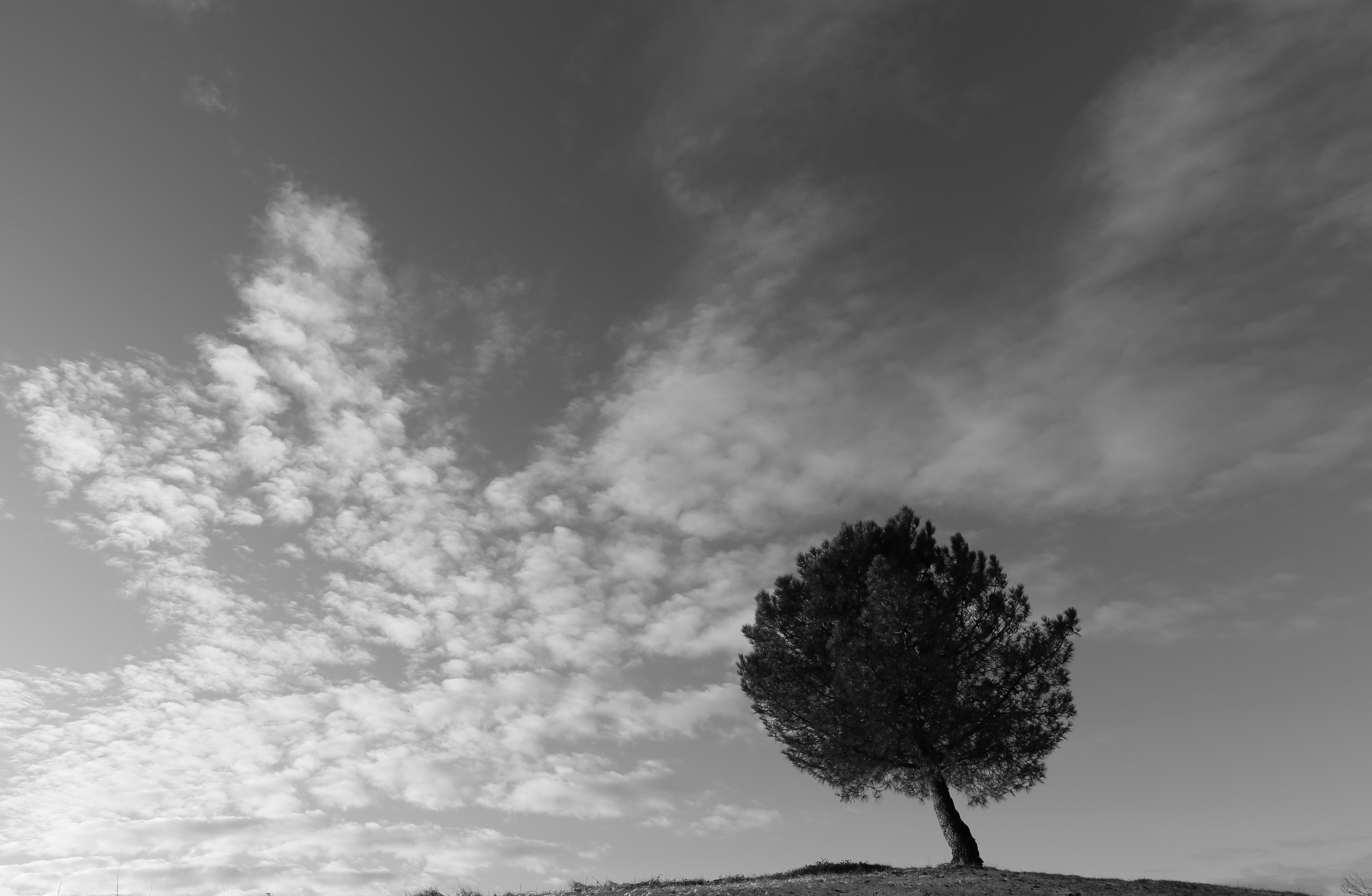 Photo by cevenphotograph