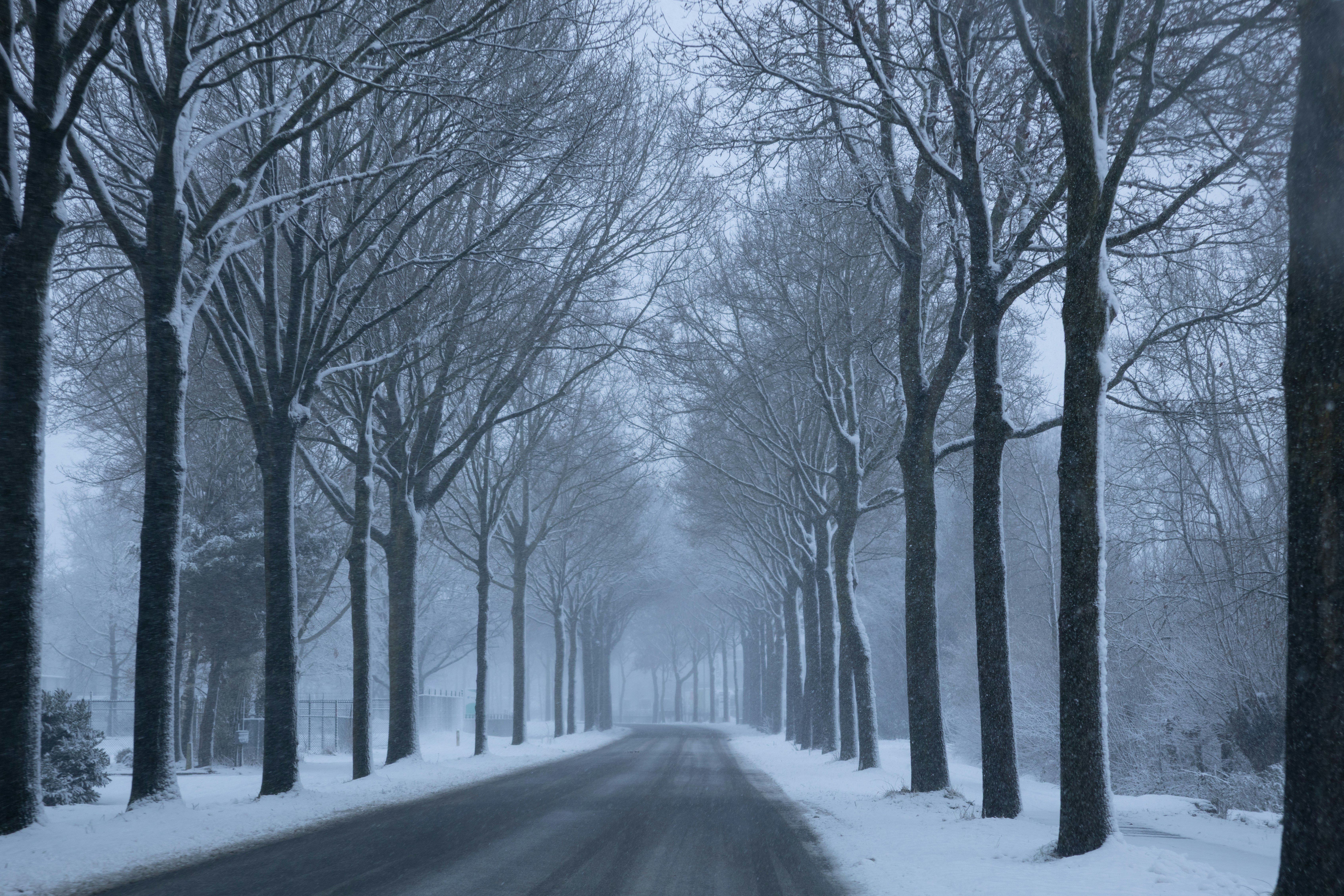 Photo by elkeburhenne