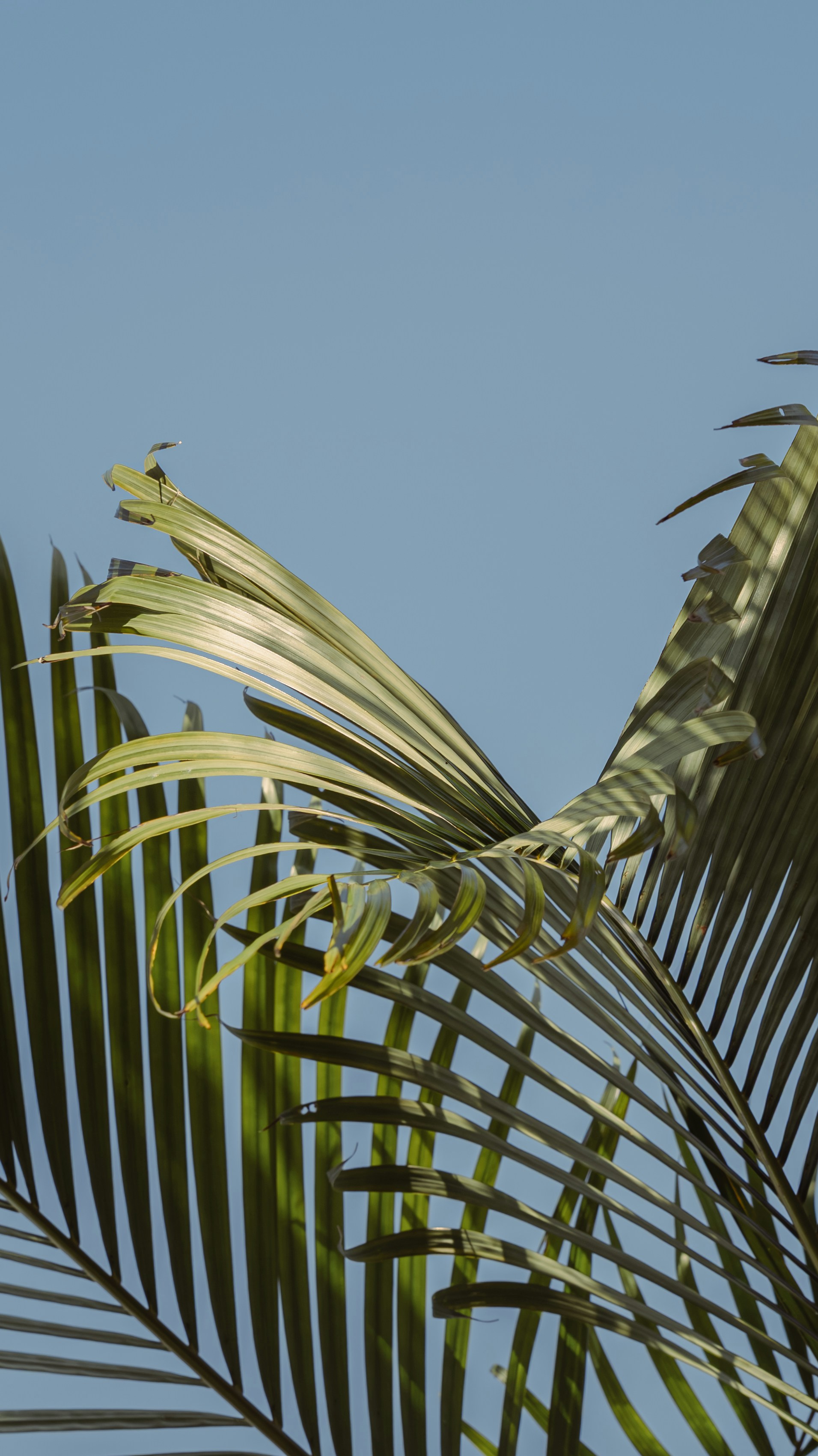 Photo by wangbinghua