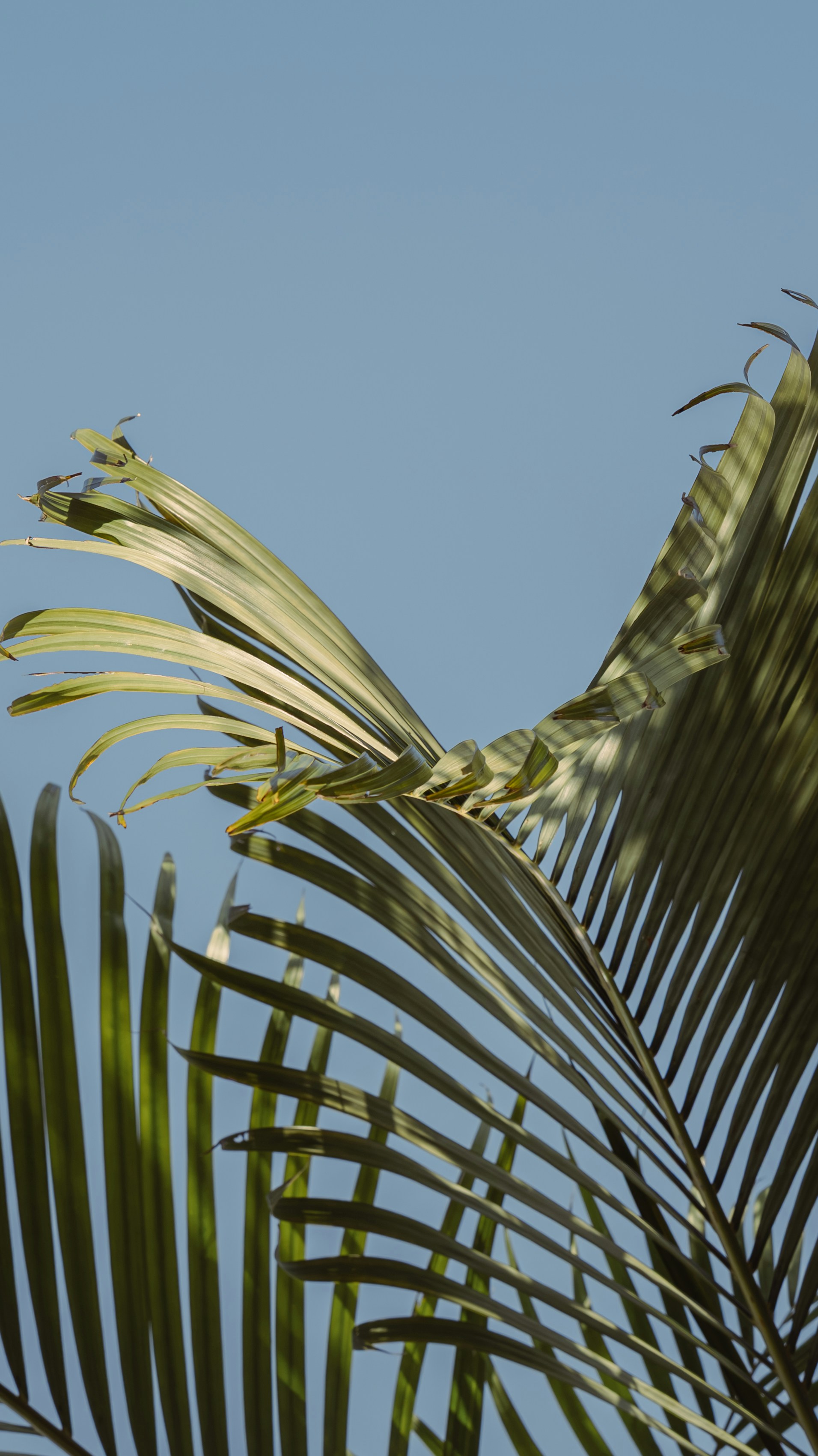 Photo by wangbinghua