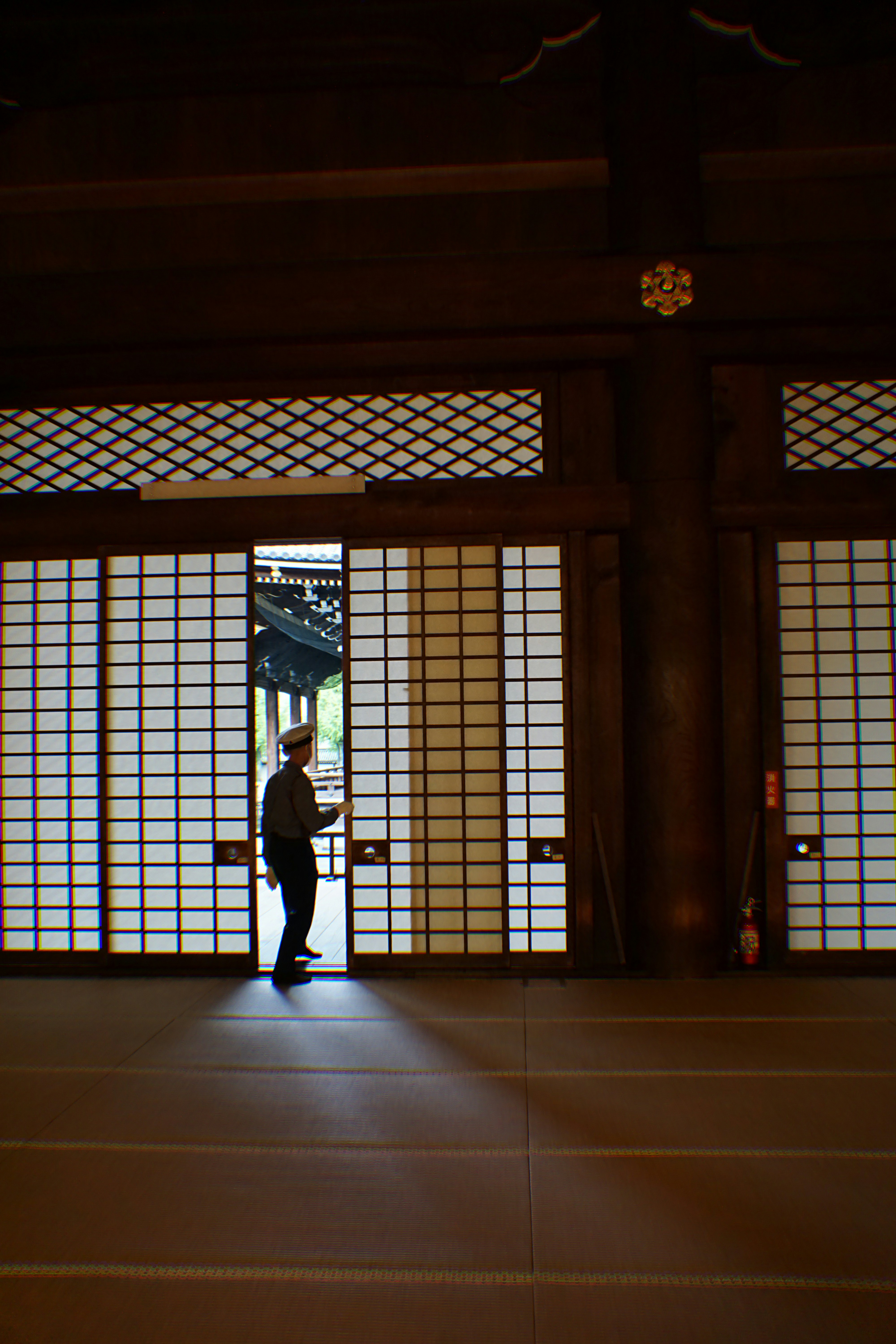 Person standing in doorway of traditional japanese building.