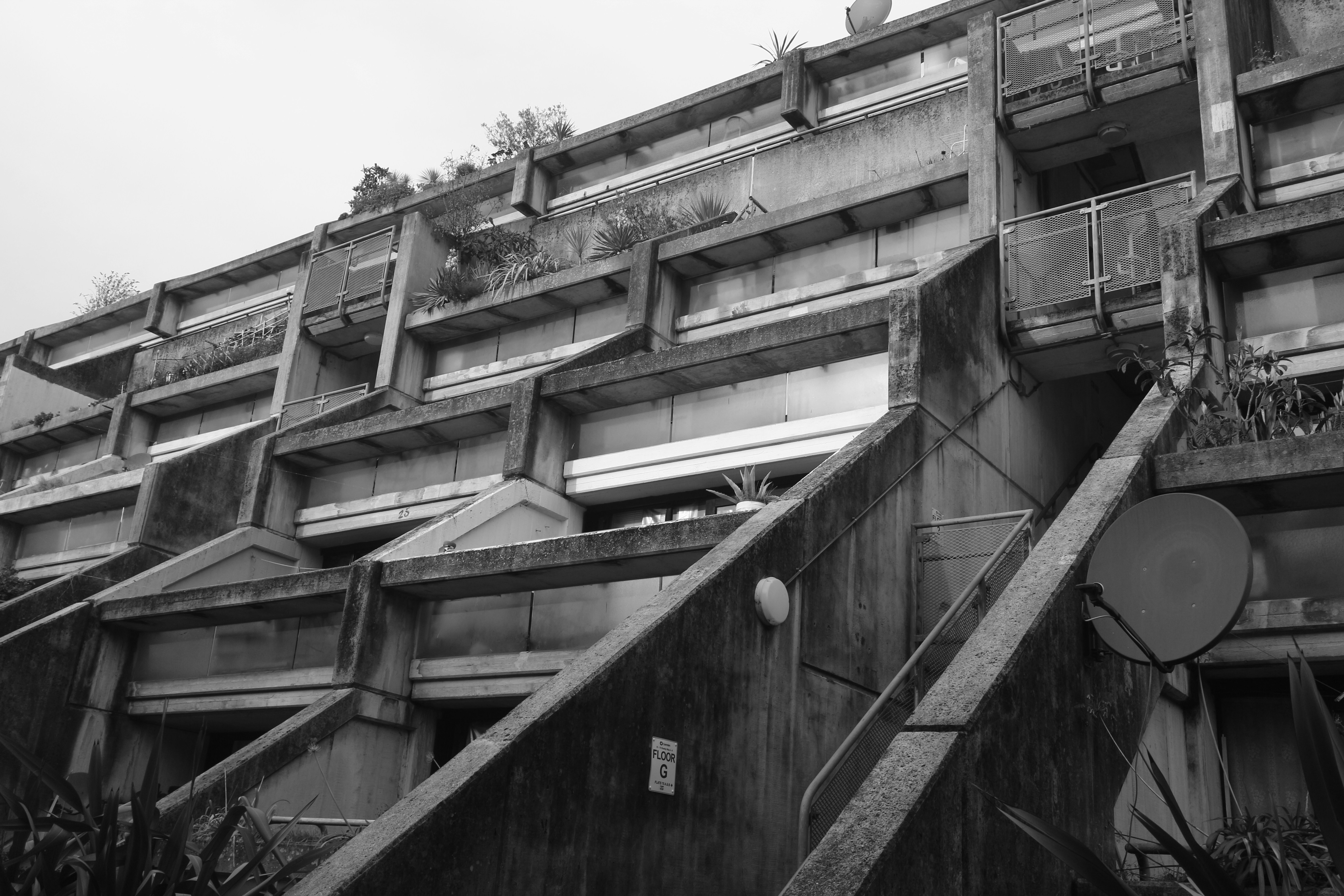 Photo by hellokalifornia