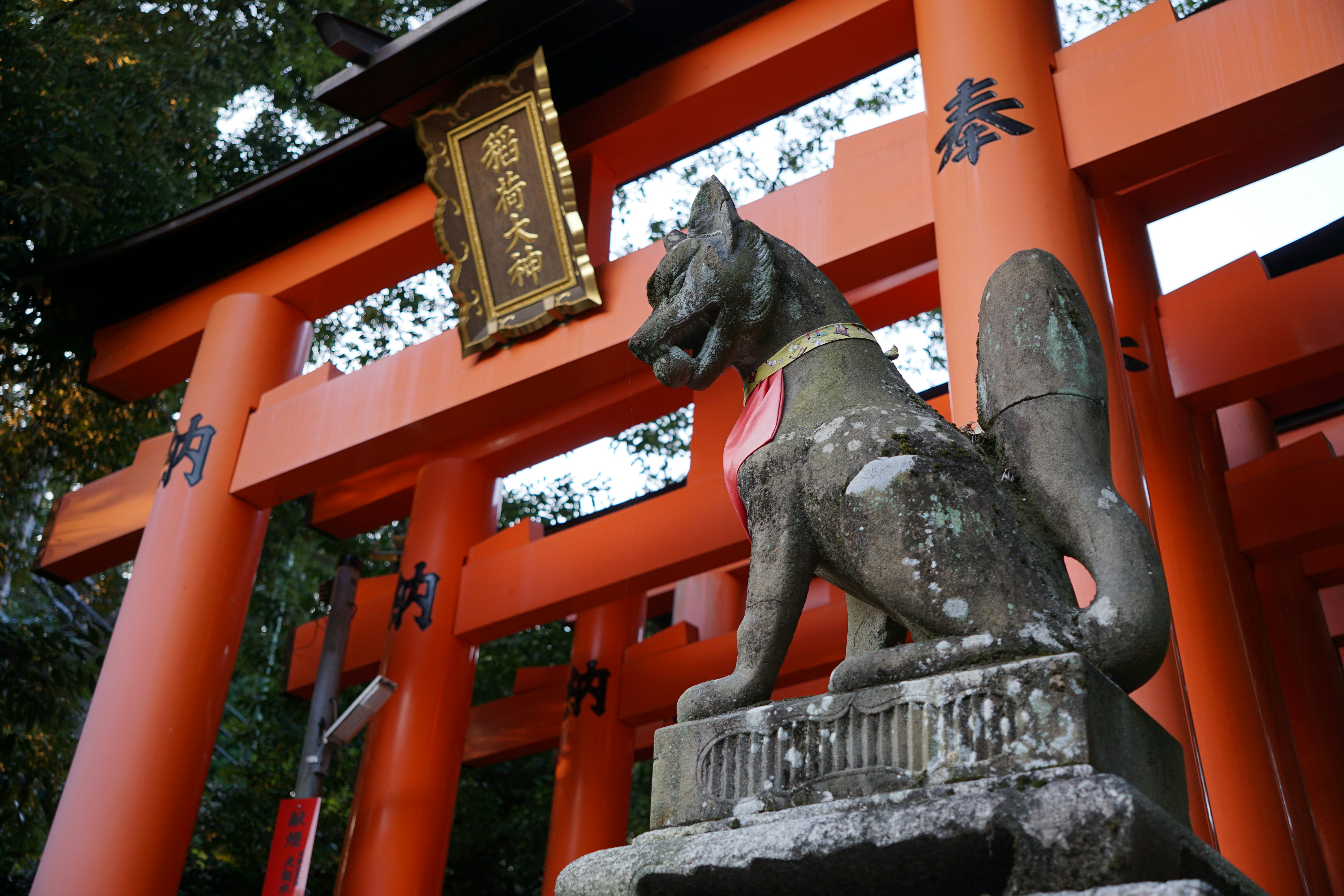 Photo by l_glazunova