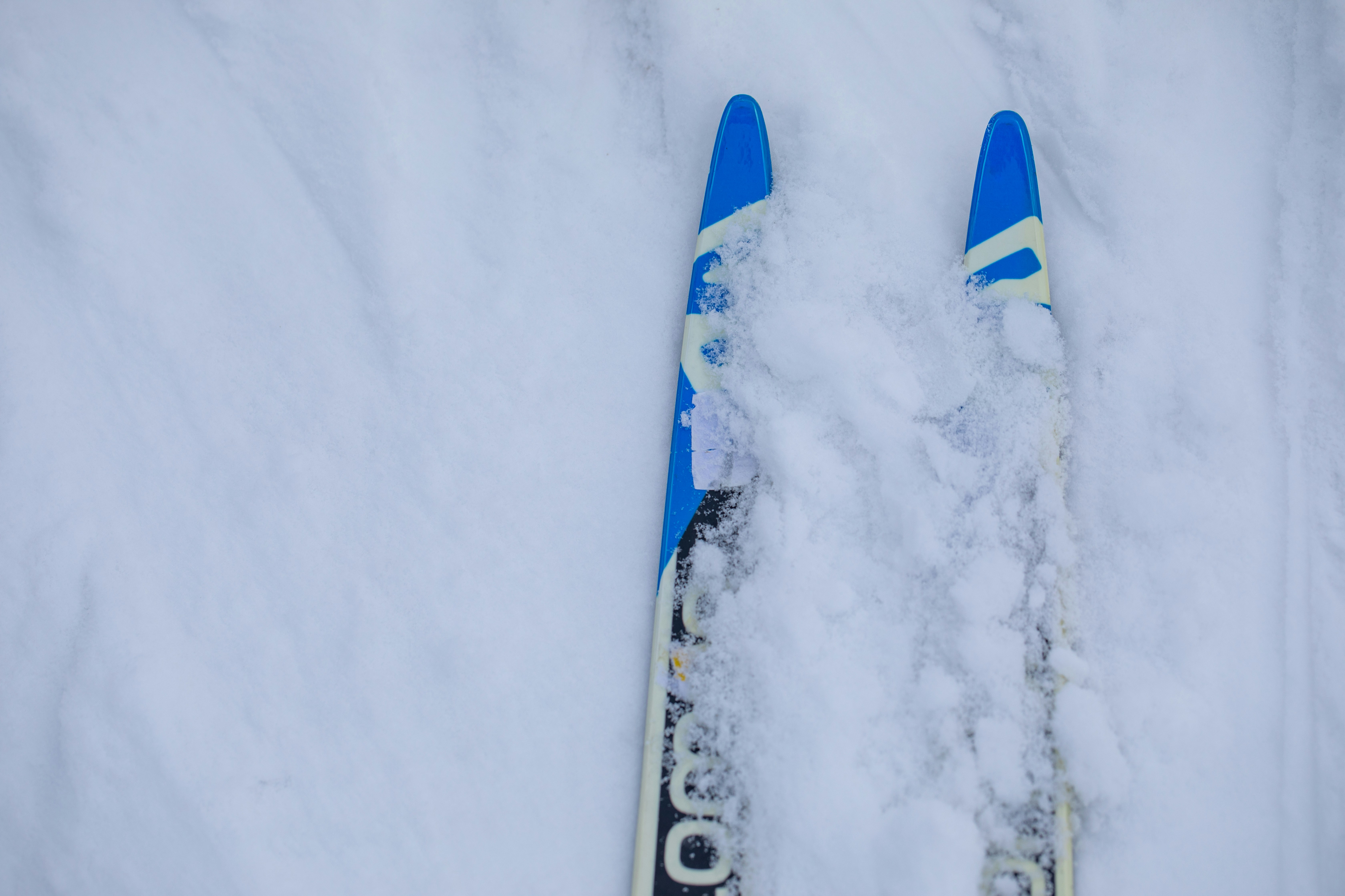 Pair of blue and white skis in snow
