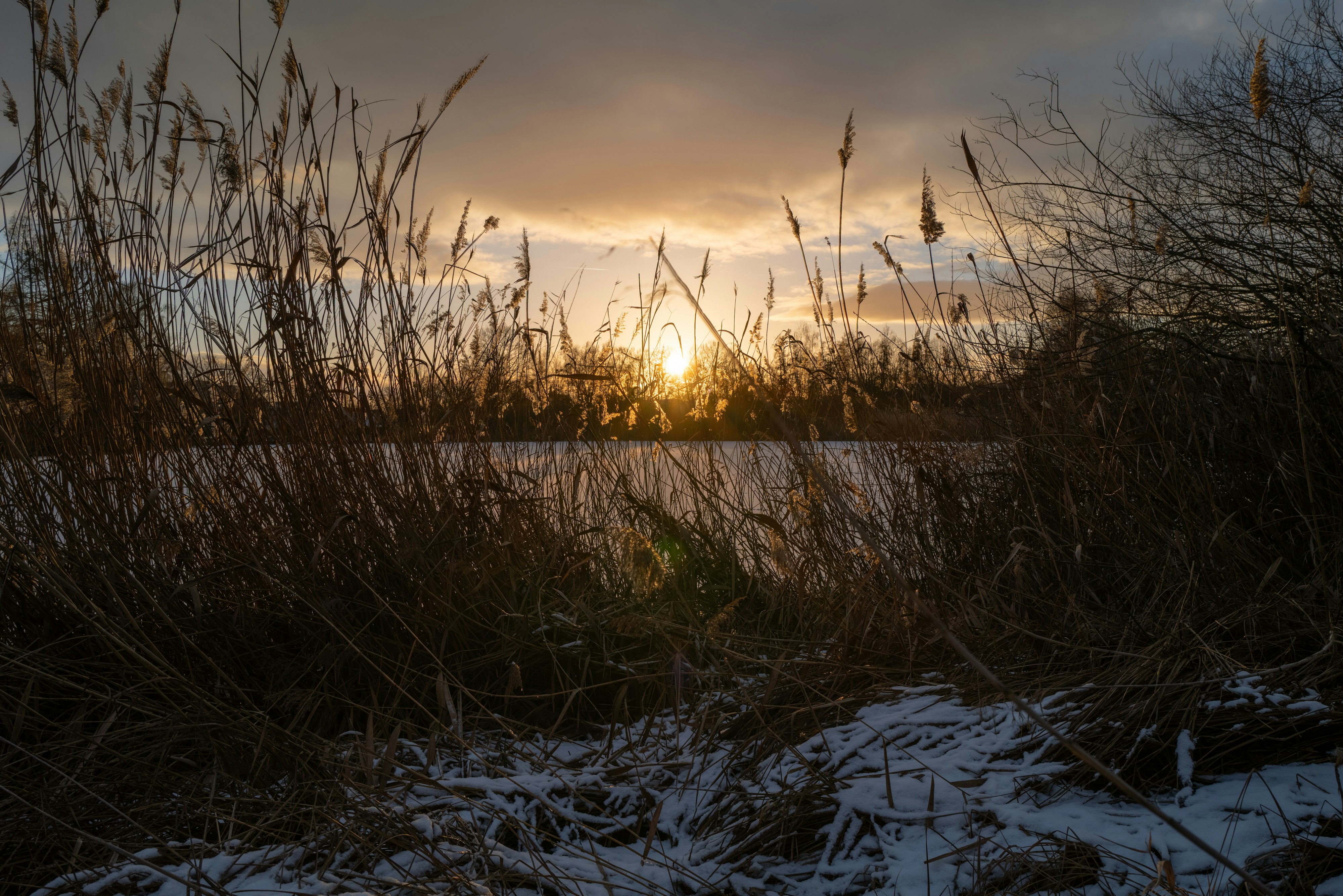 Sonnenuntergang über einem ruhigen See mit Schilf und Schnee.