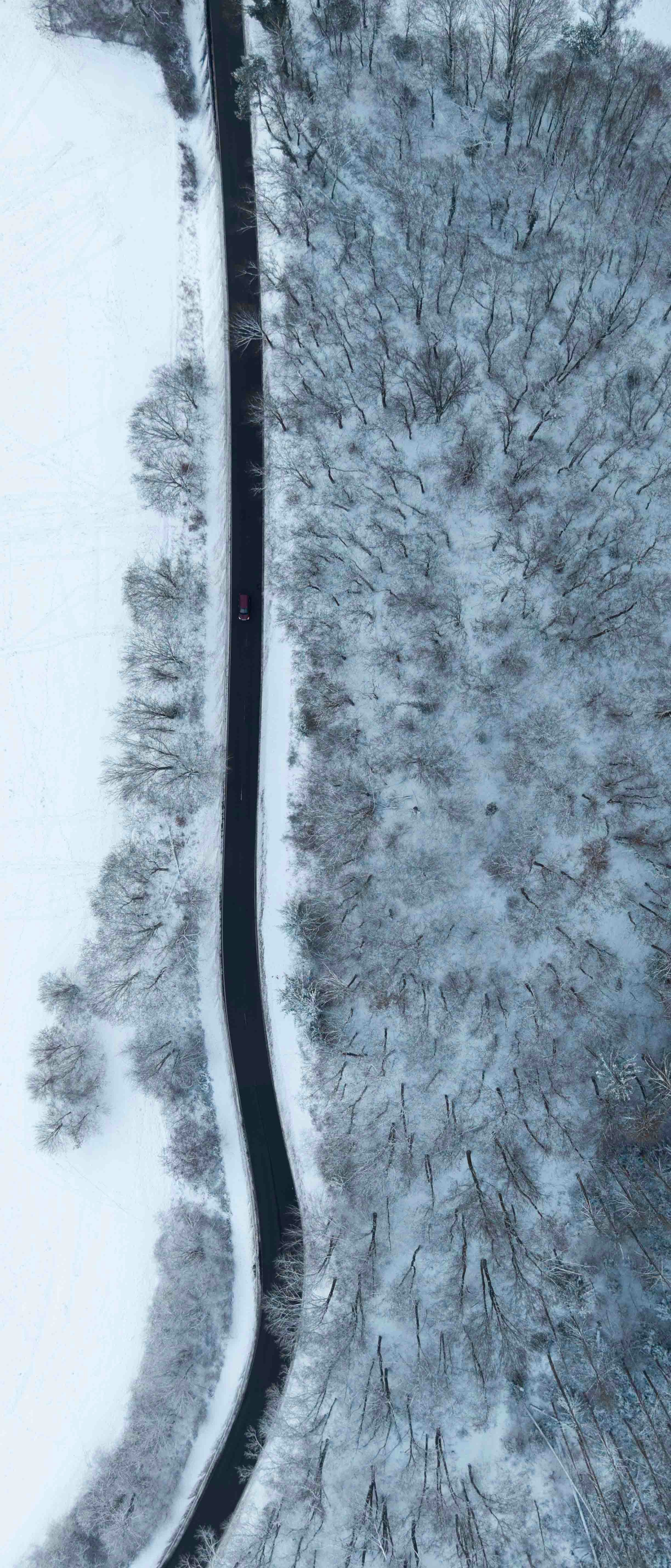 A car drives on a snowy road through trees.