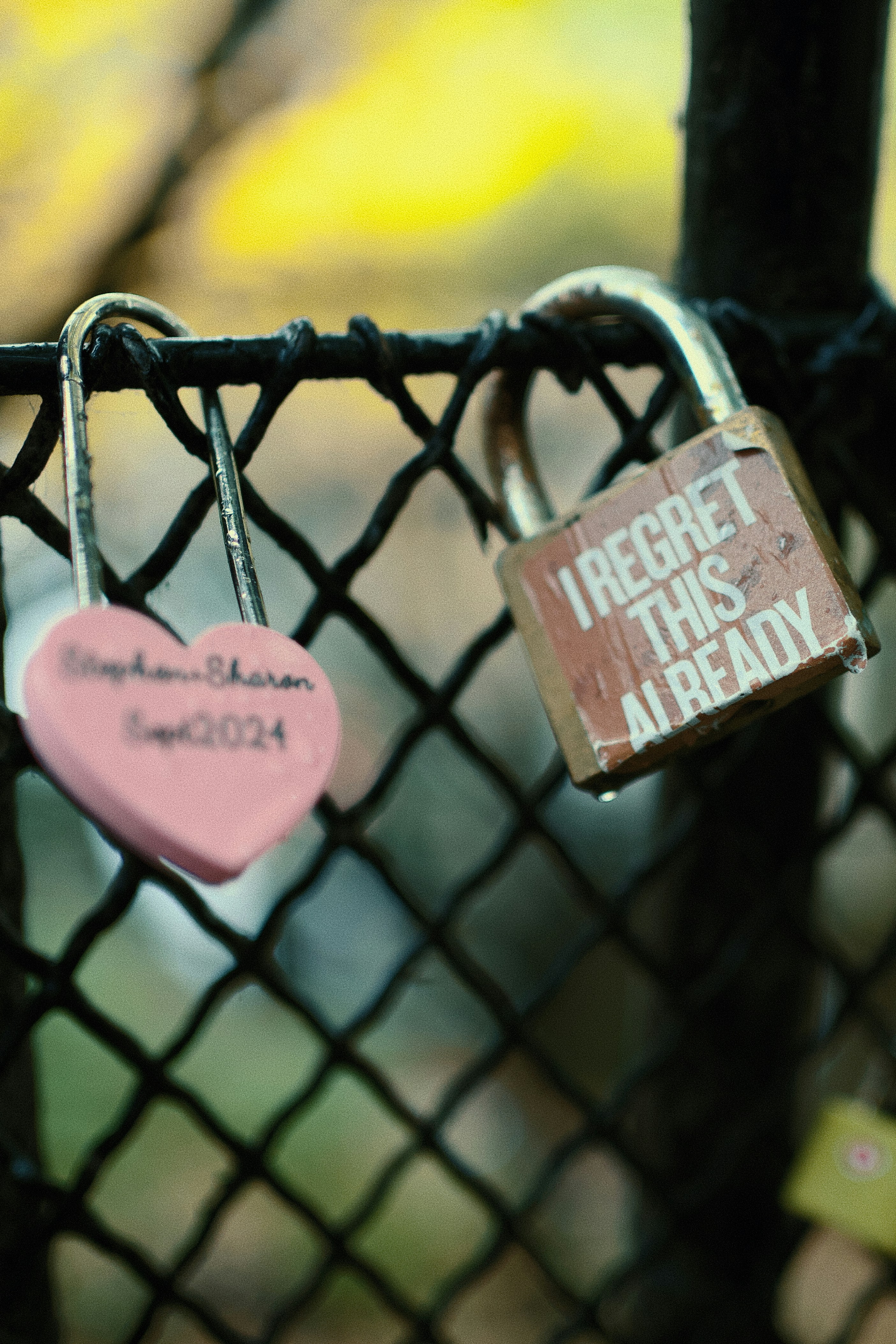 Two padlocks attached to a fence with writing.