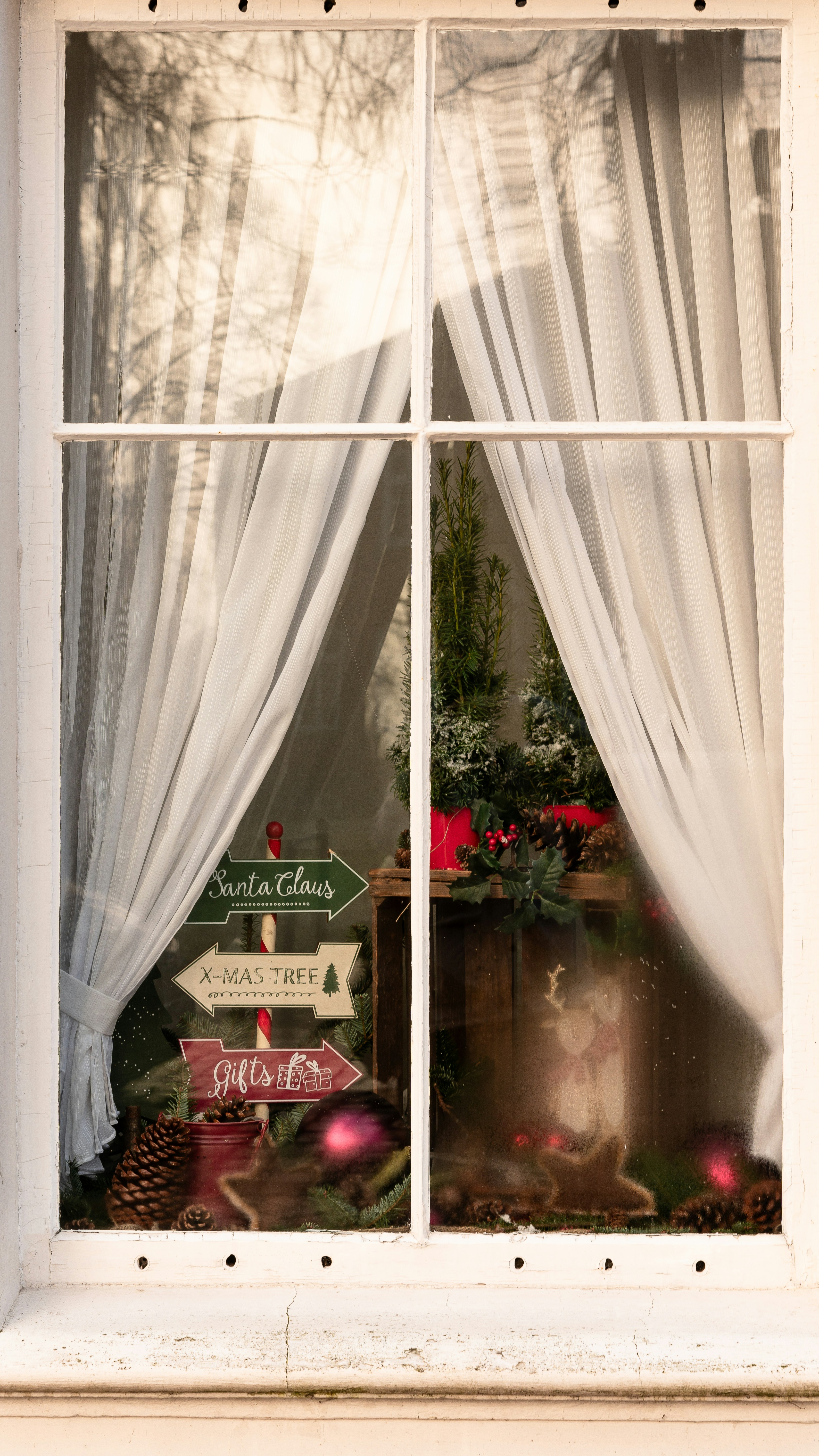 Christmas decorations visible through a window