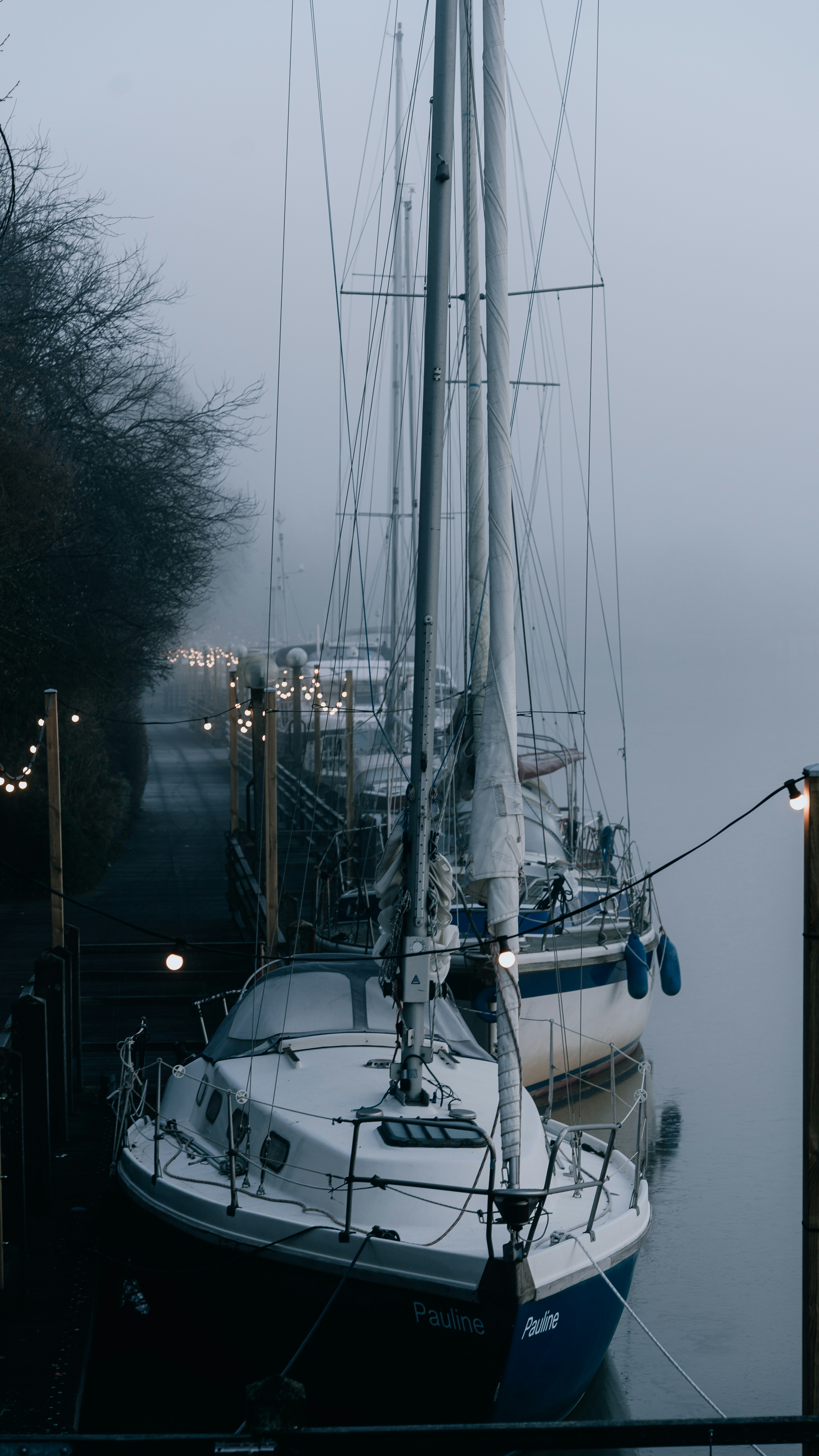 Sailboats docked in foggy harbor with string lights.