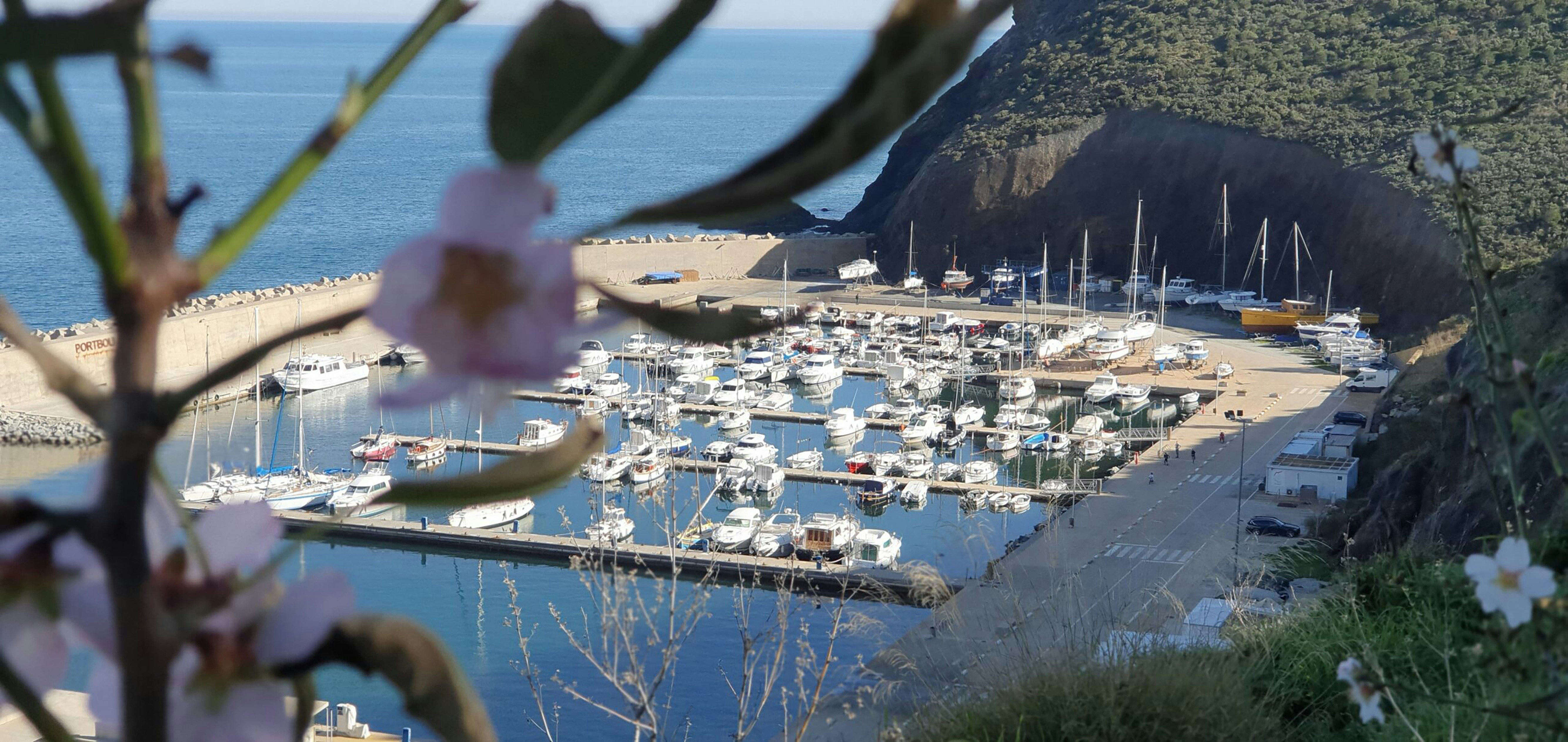 Boote lagen in einem Hafen mit Blumen im Vordergrund.