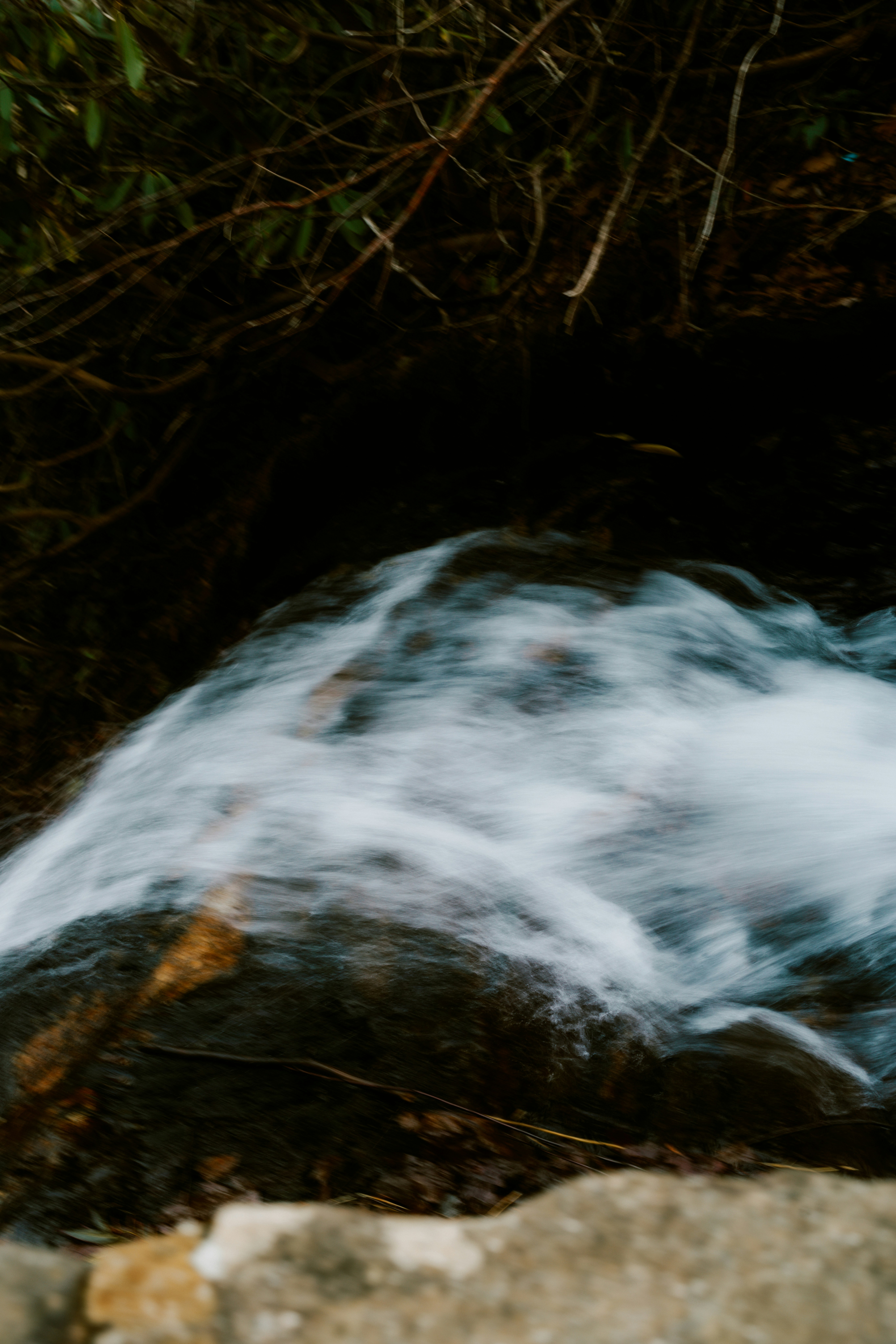 Photo by brookebalentine