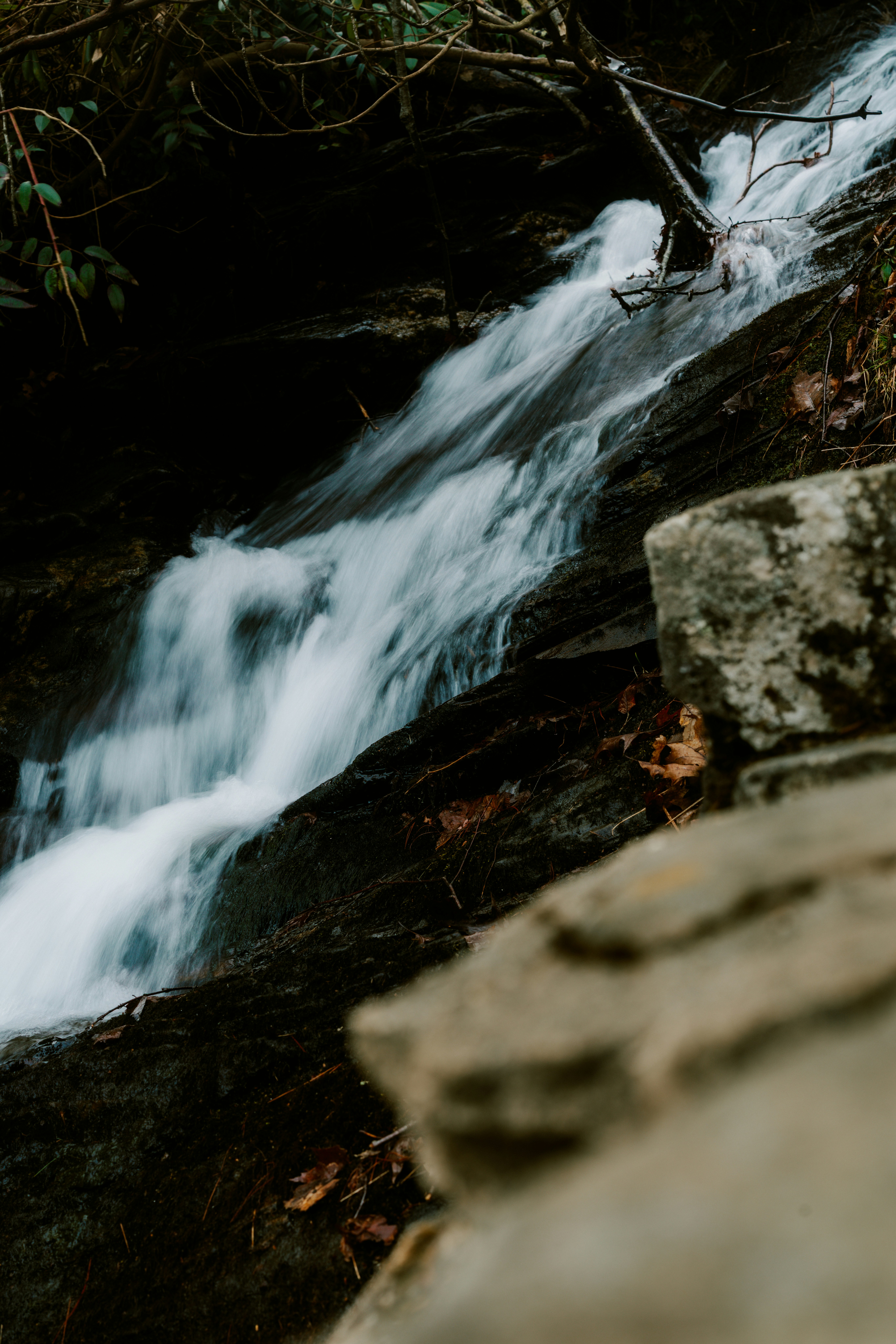 Photo by brookebalentine