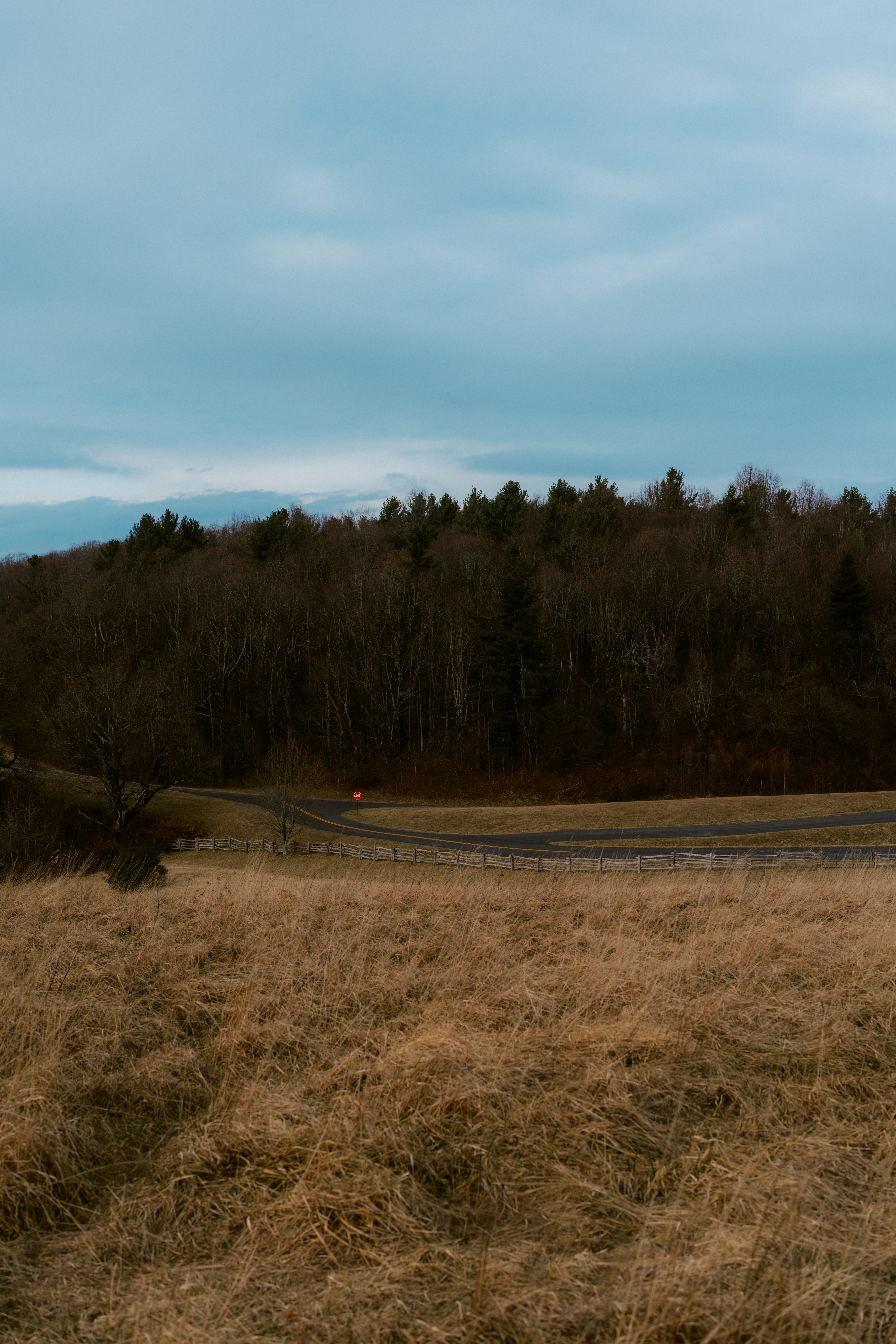 Photo by brookebalentine