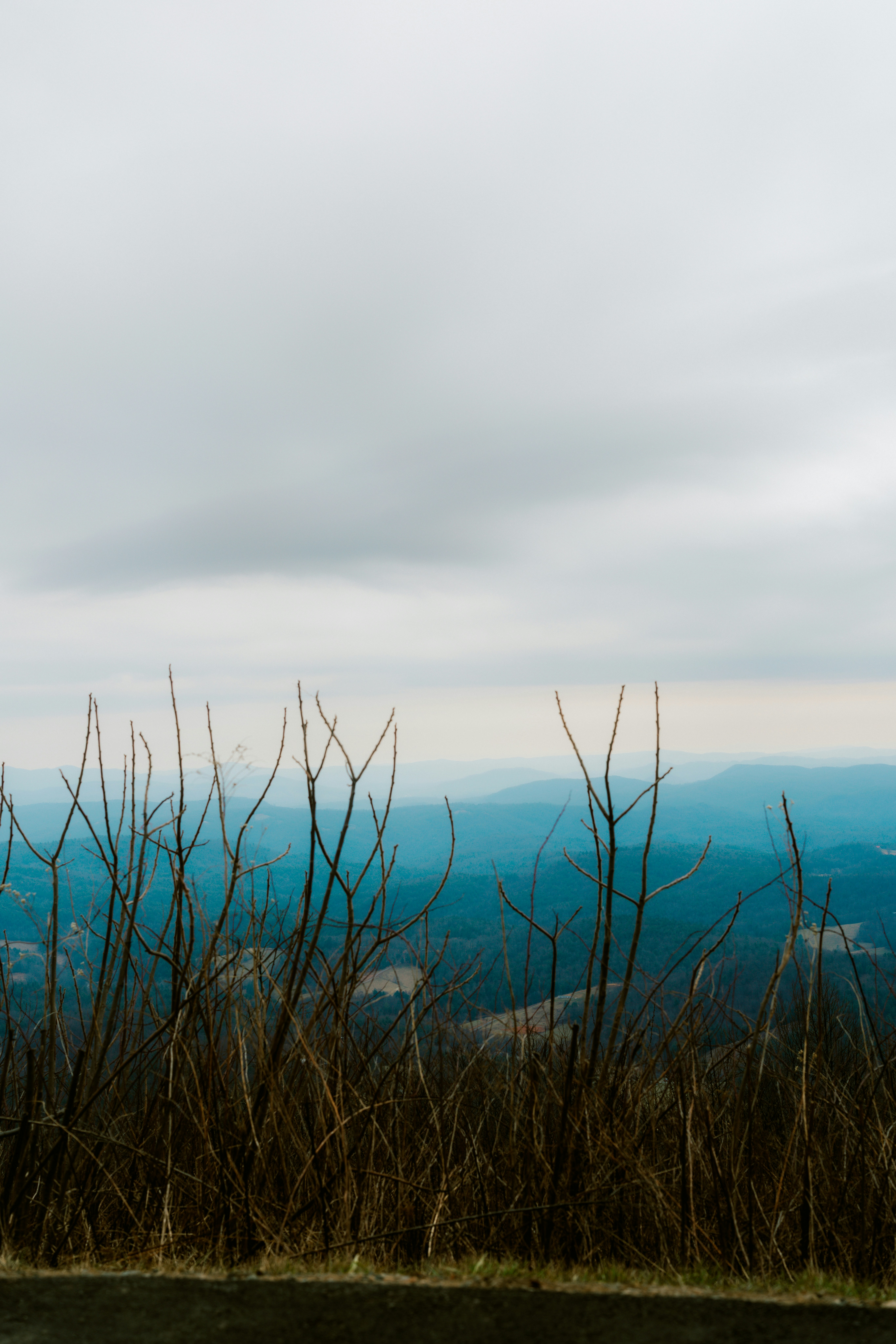 Photo by brookebalentine