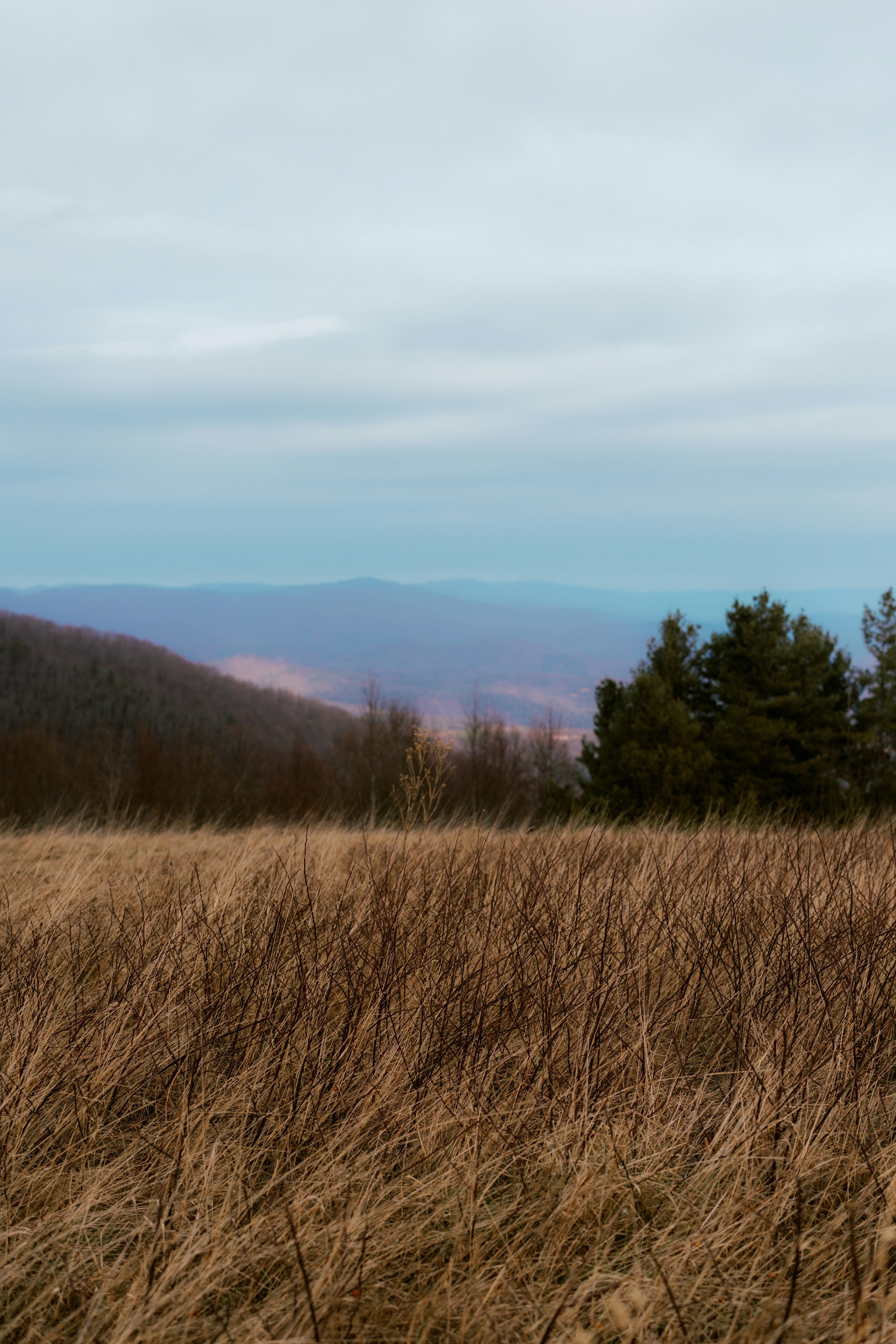 Photo by brookebalentine