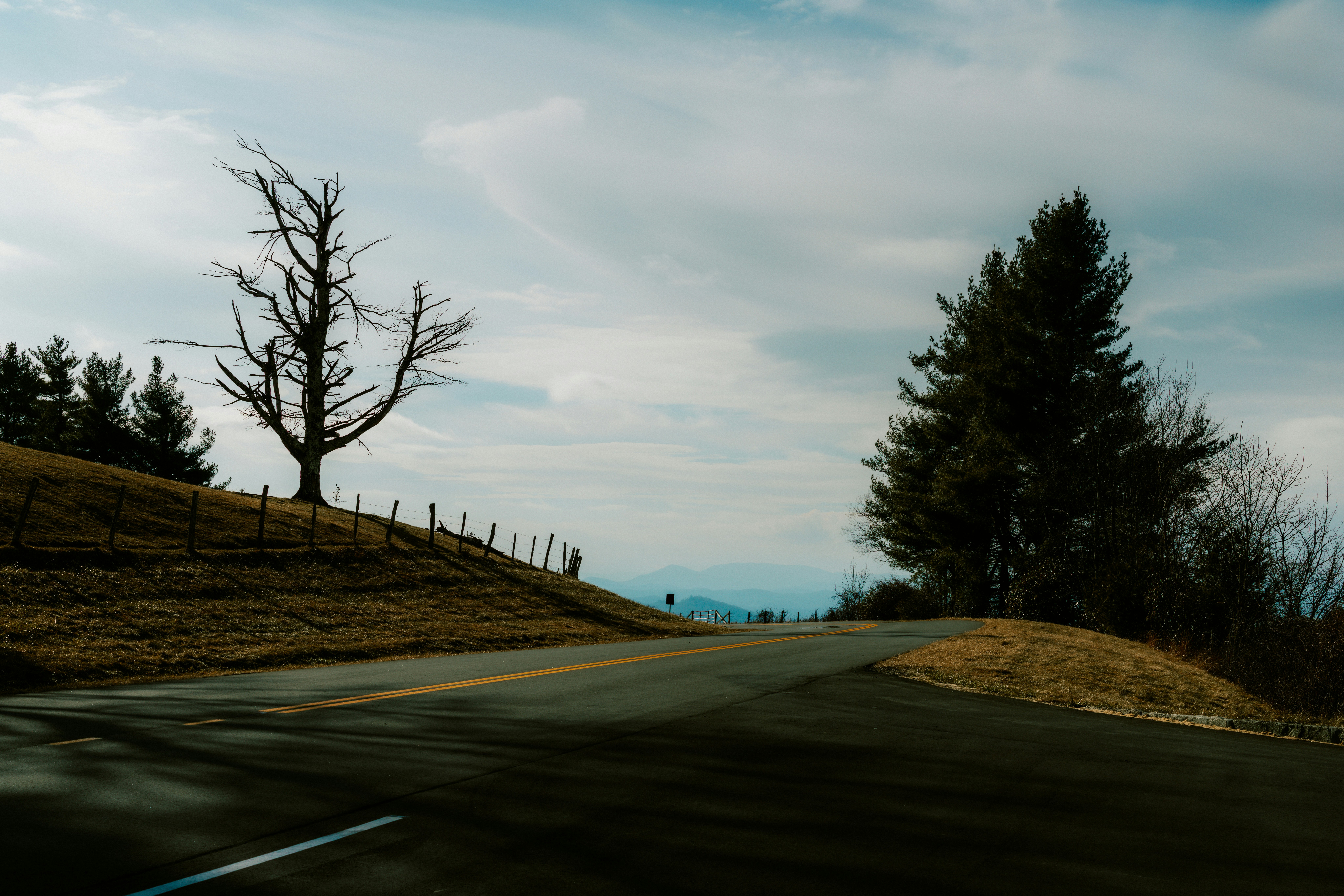 Photo by brookebalentine