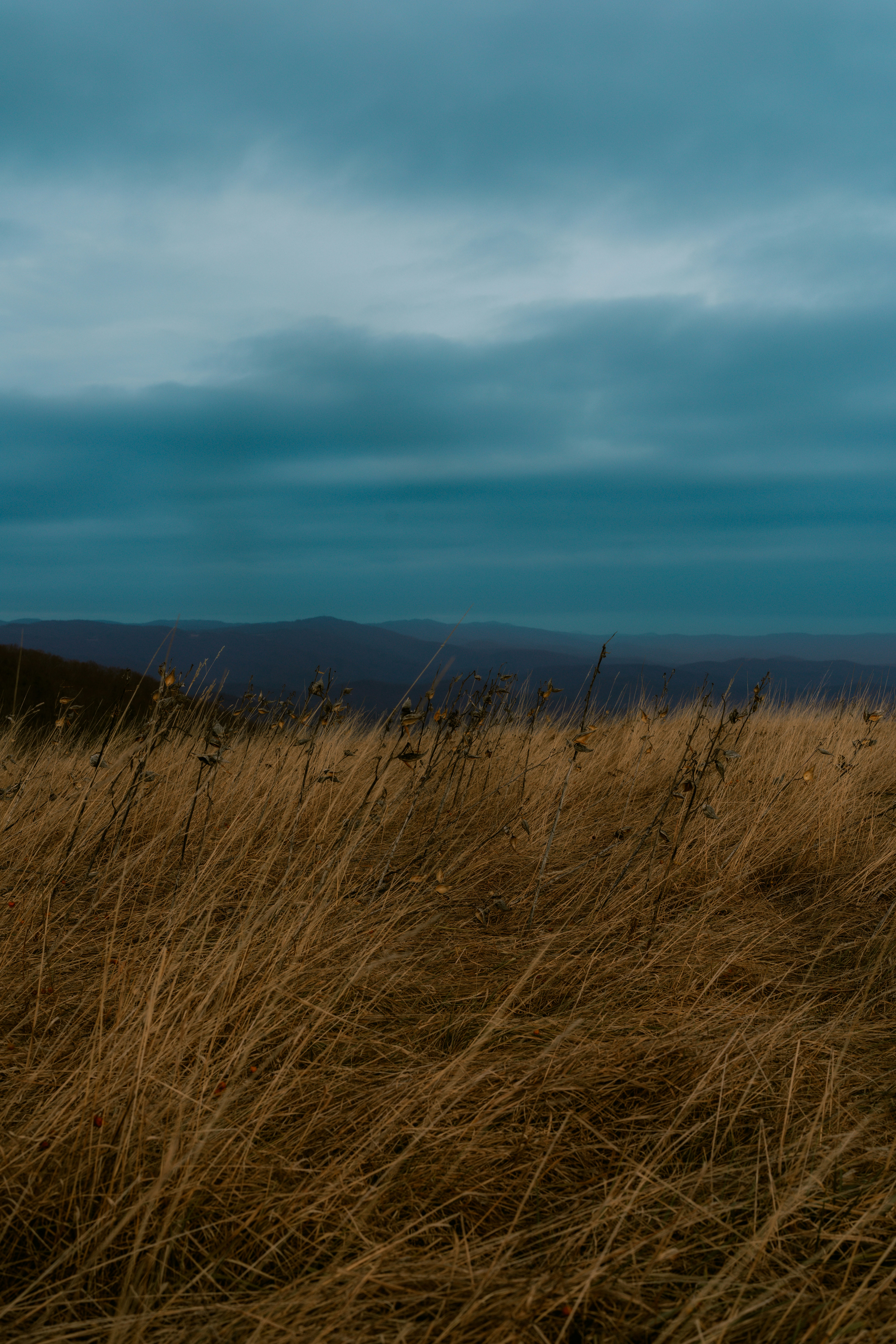 Photo by brookebalentine