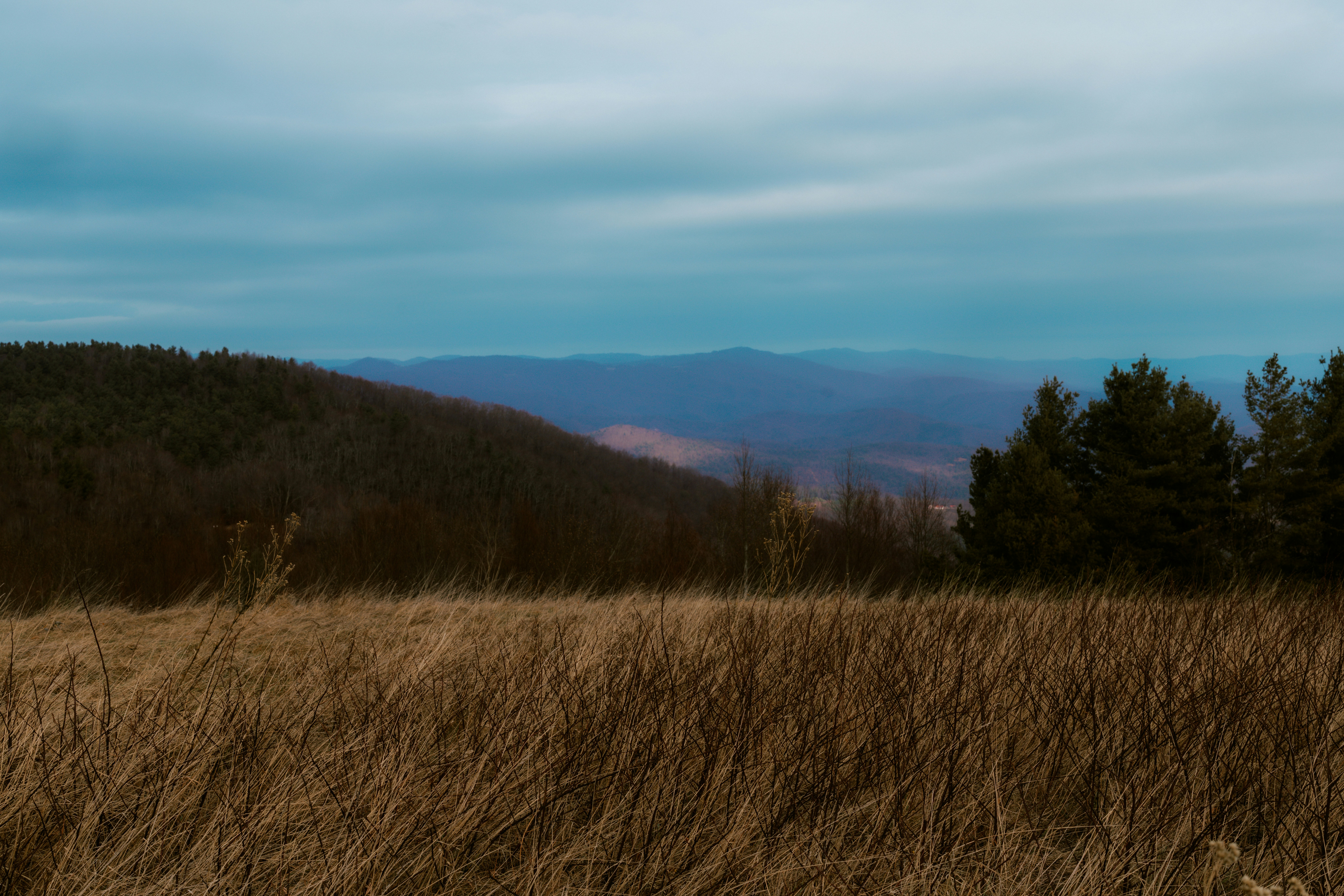 Photo by brookebalentine