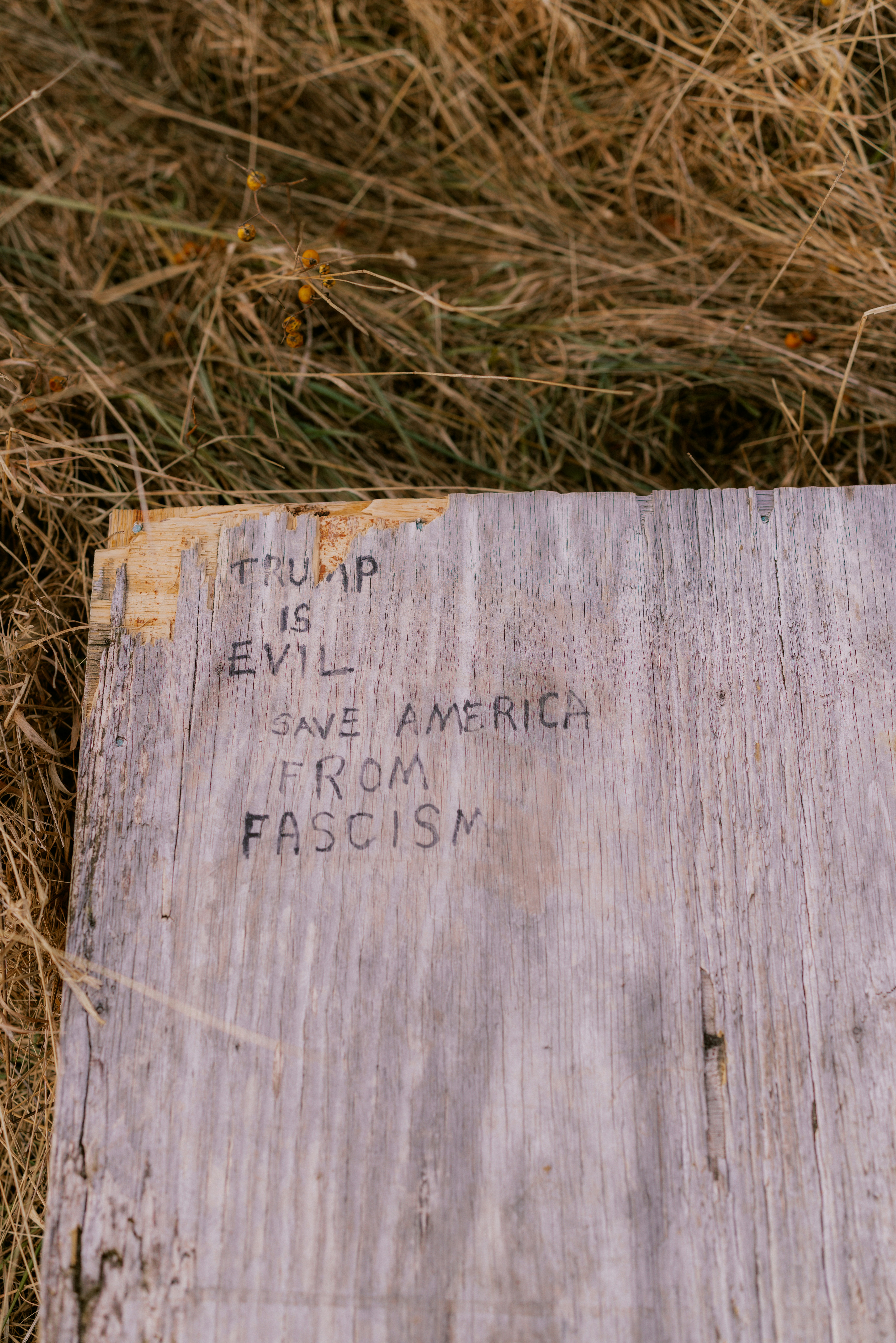 Texto en madera: Trump es malvado, salva a América del fascismo.