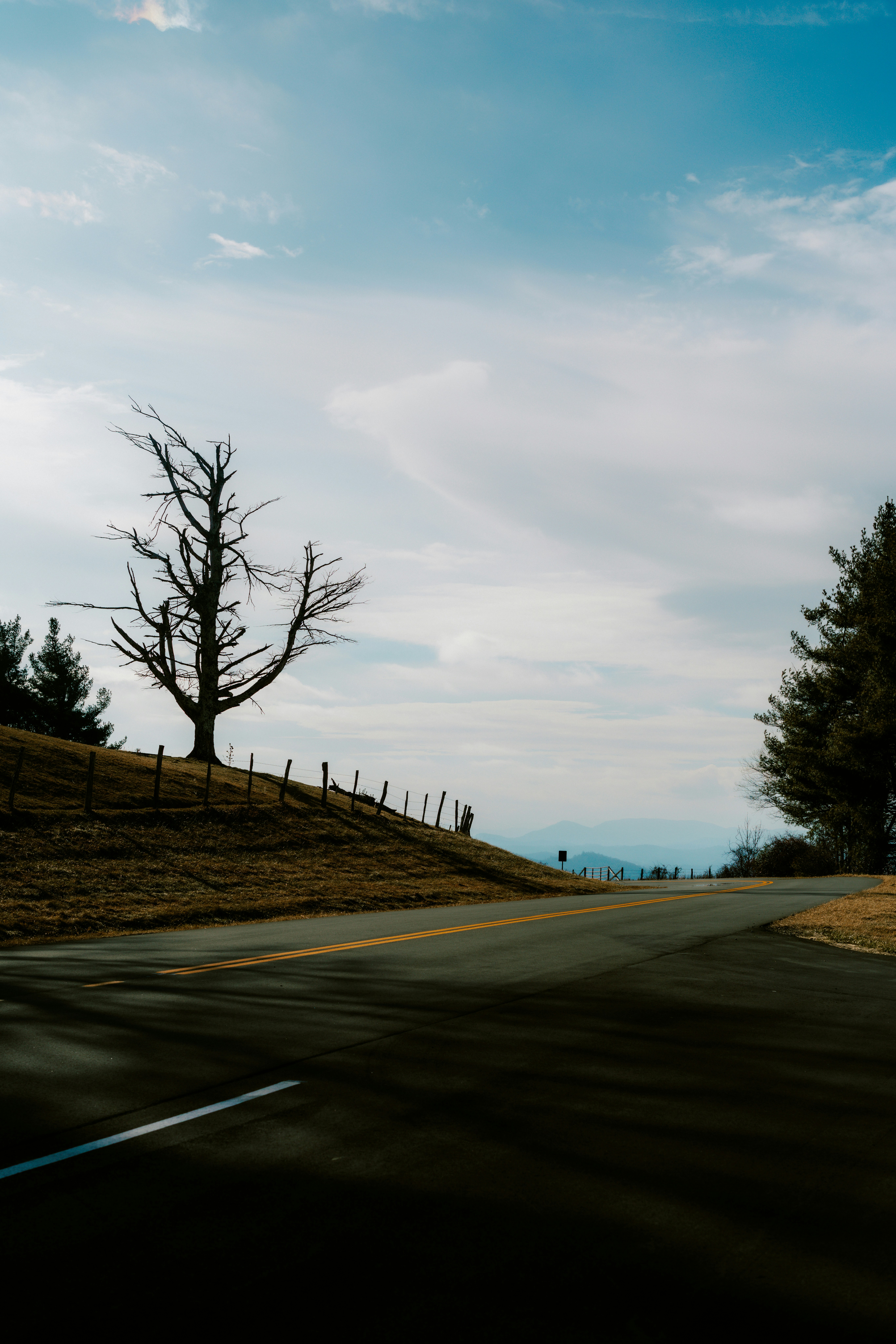 Photo by brookebalentine