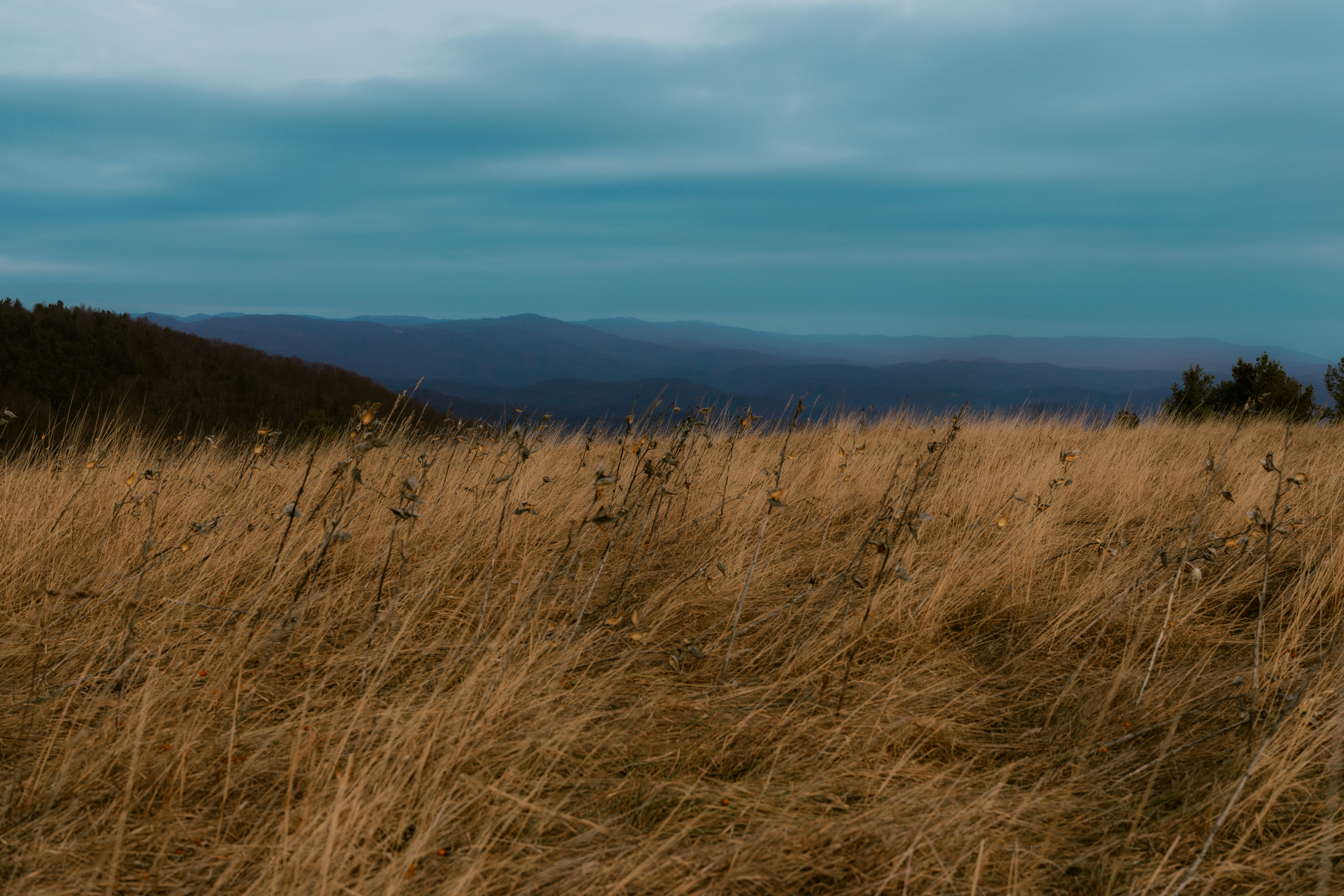 Photo by brookebalentine