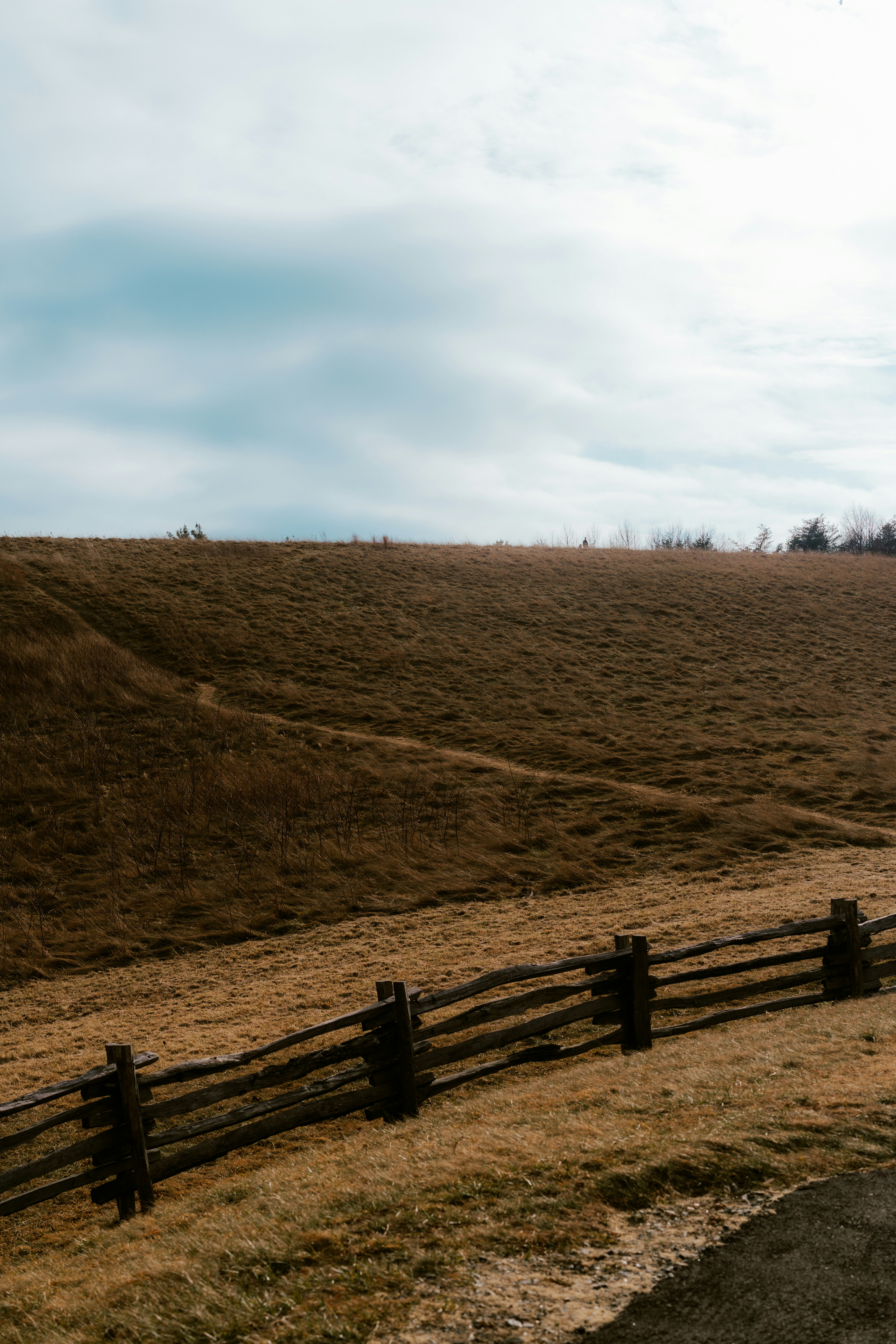 Photo by brookebalentine