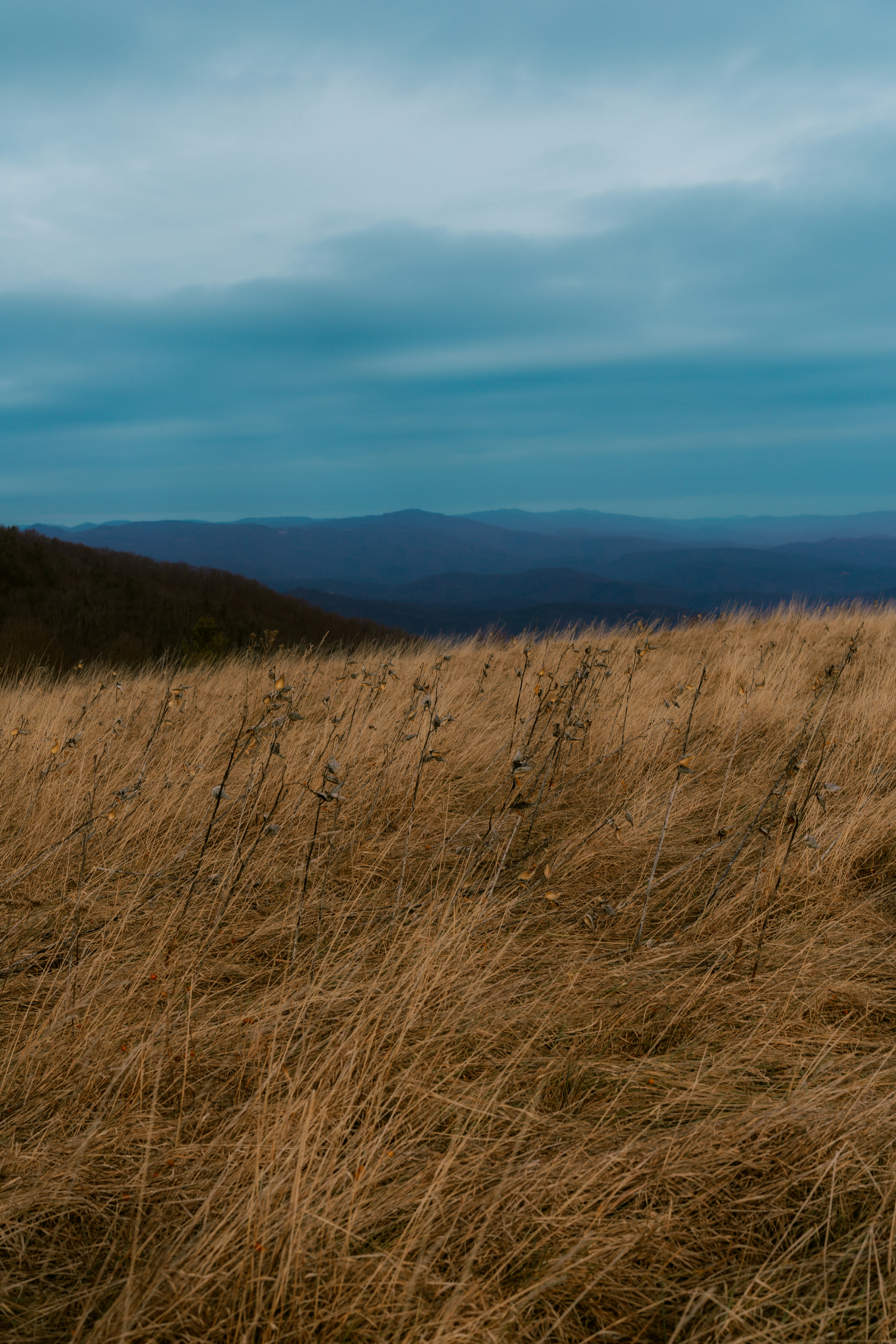 Photo by brookebalentine