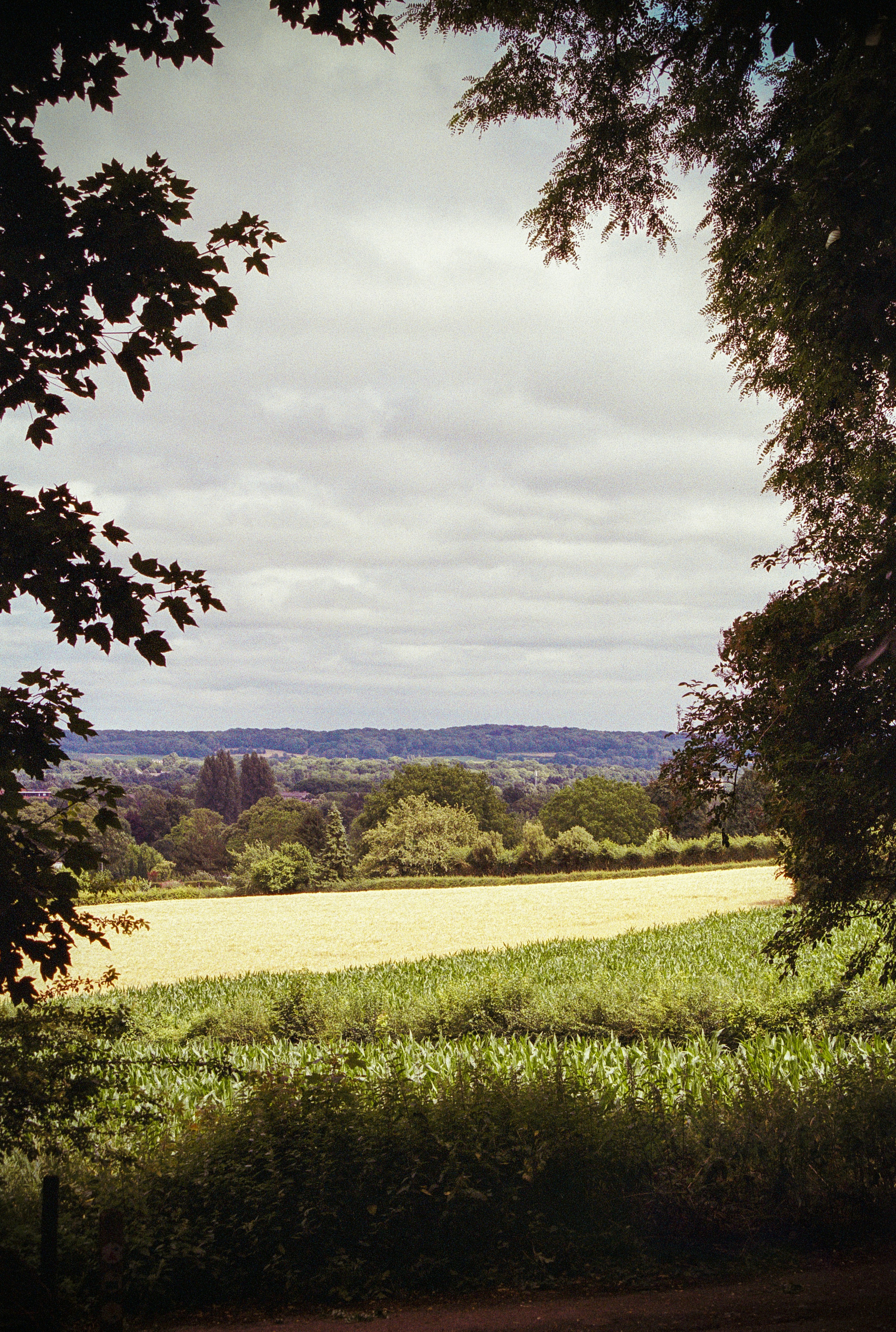 Photo by artistseyes