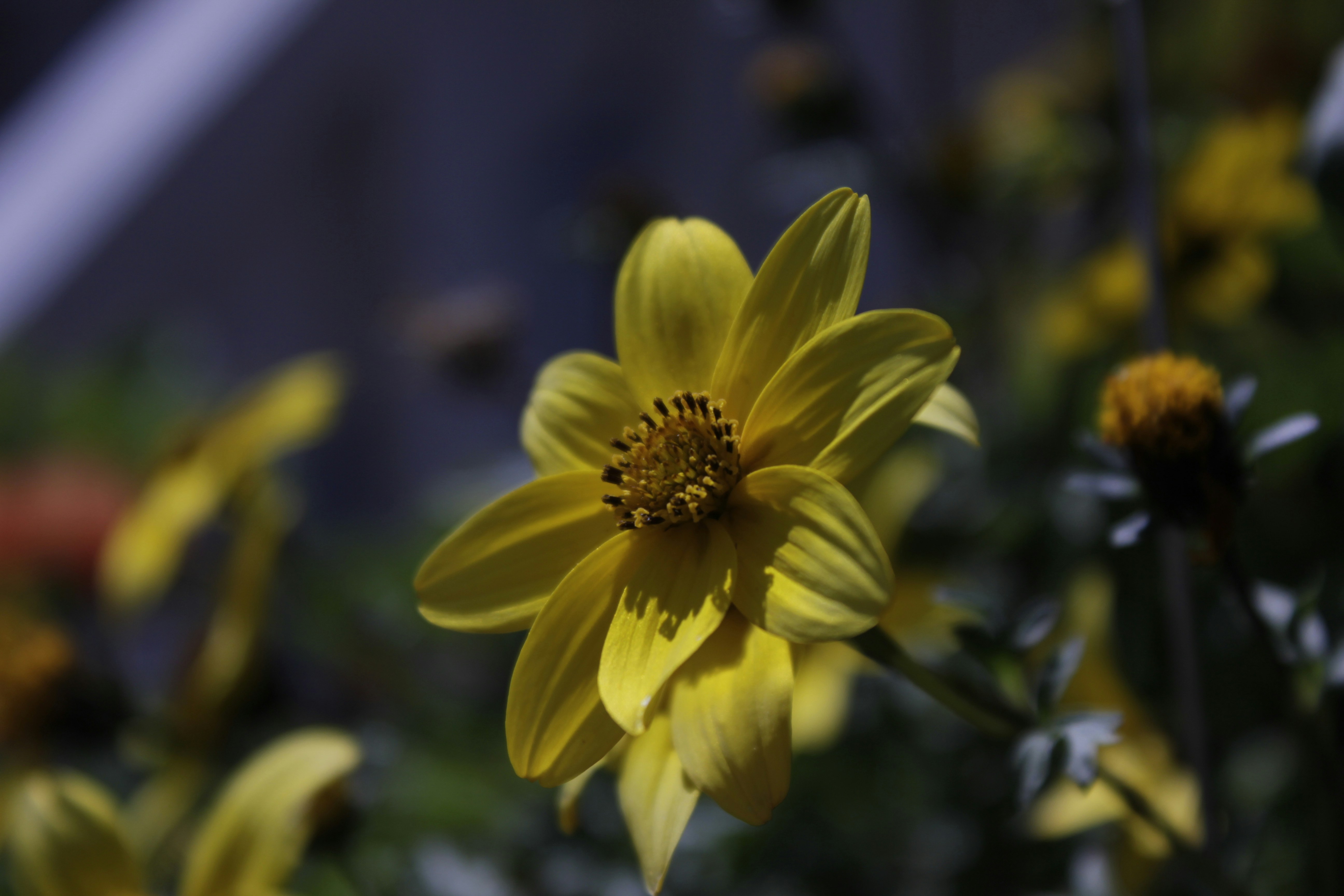 Photo by nathaniel2010