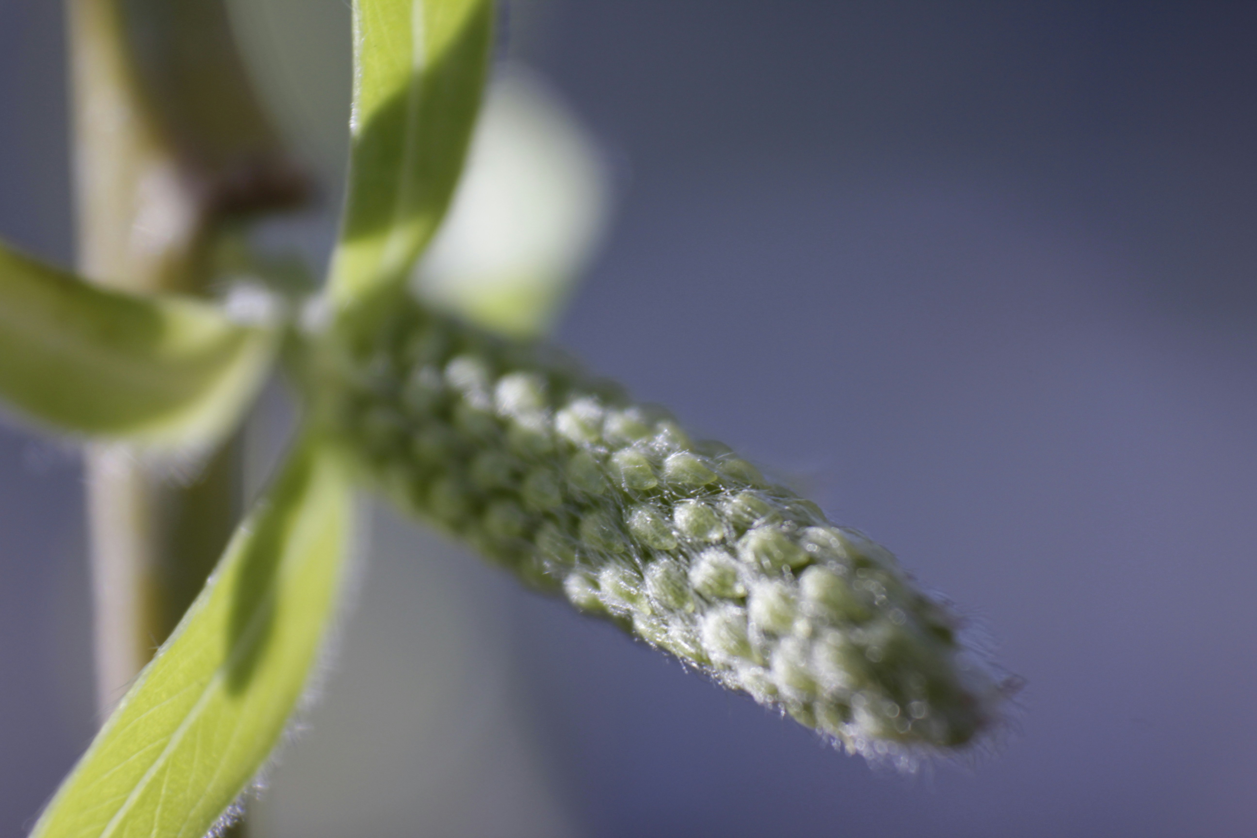 Photo by nathaniel2010