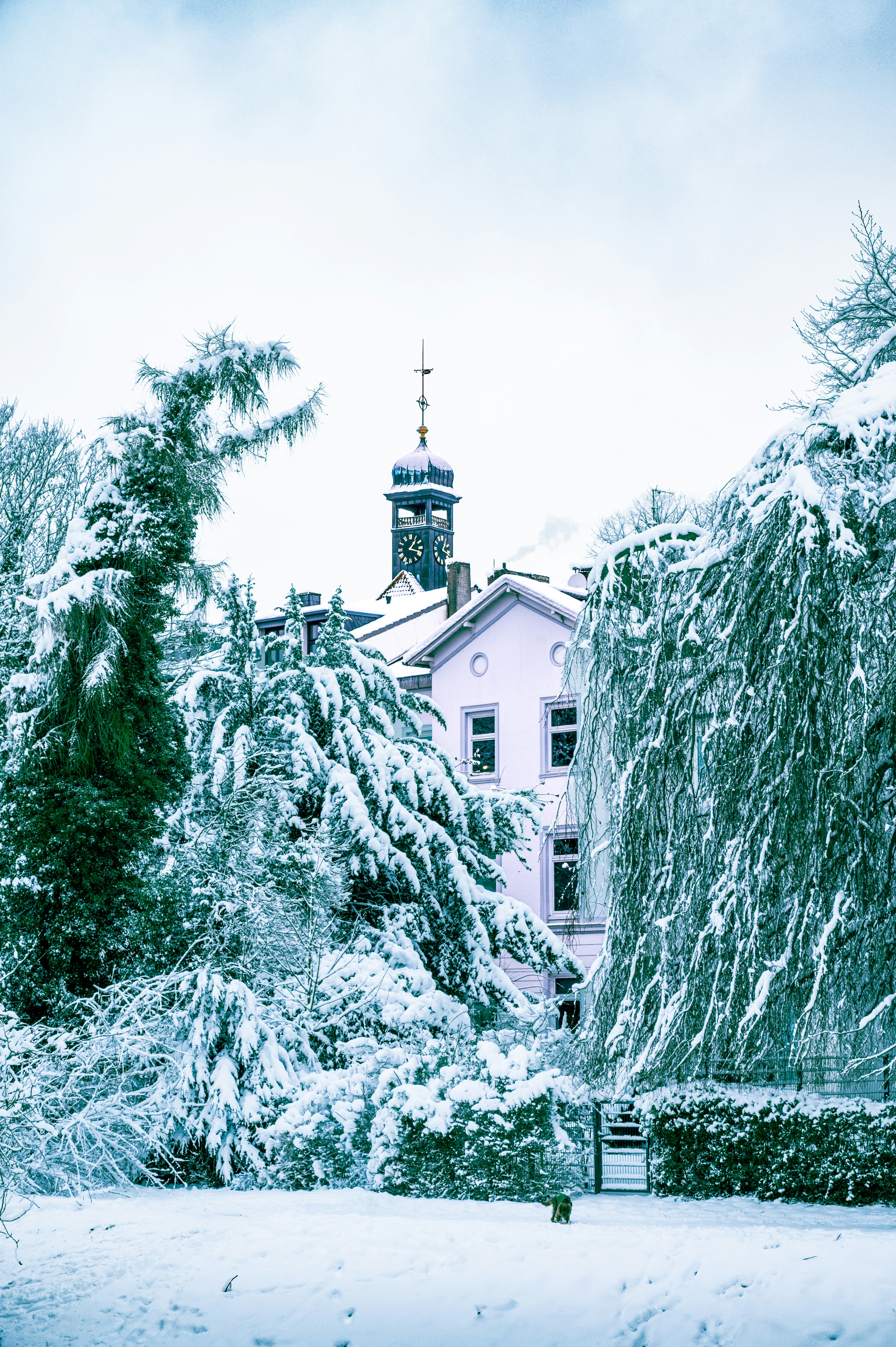 Photo by ruben_aster