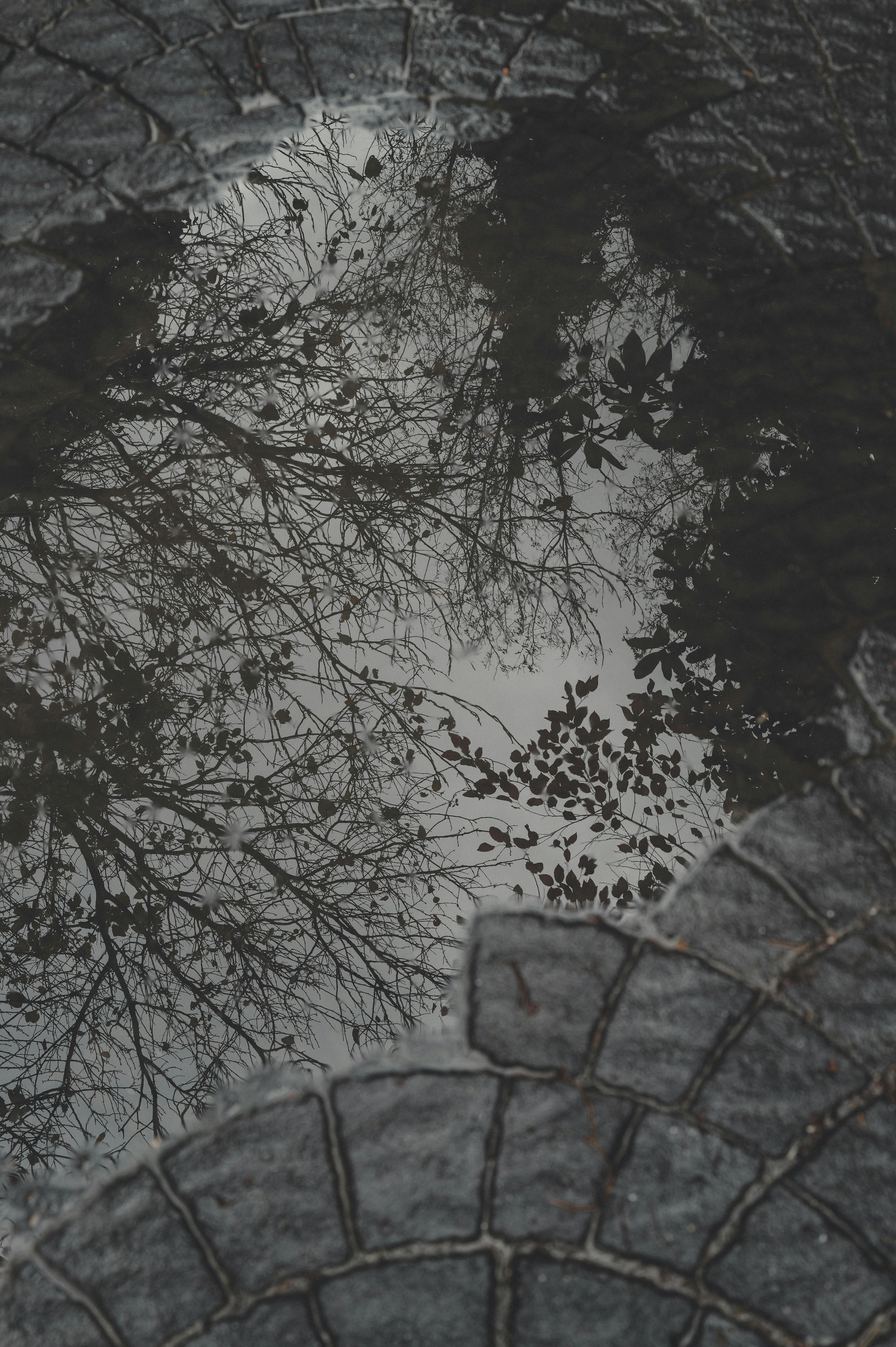 Photo by anyachernykh