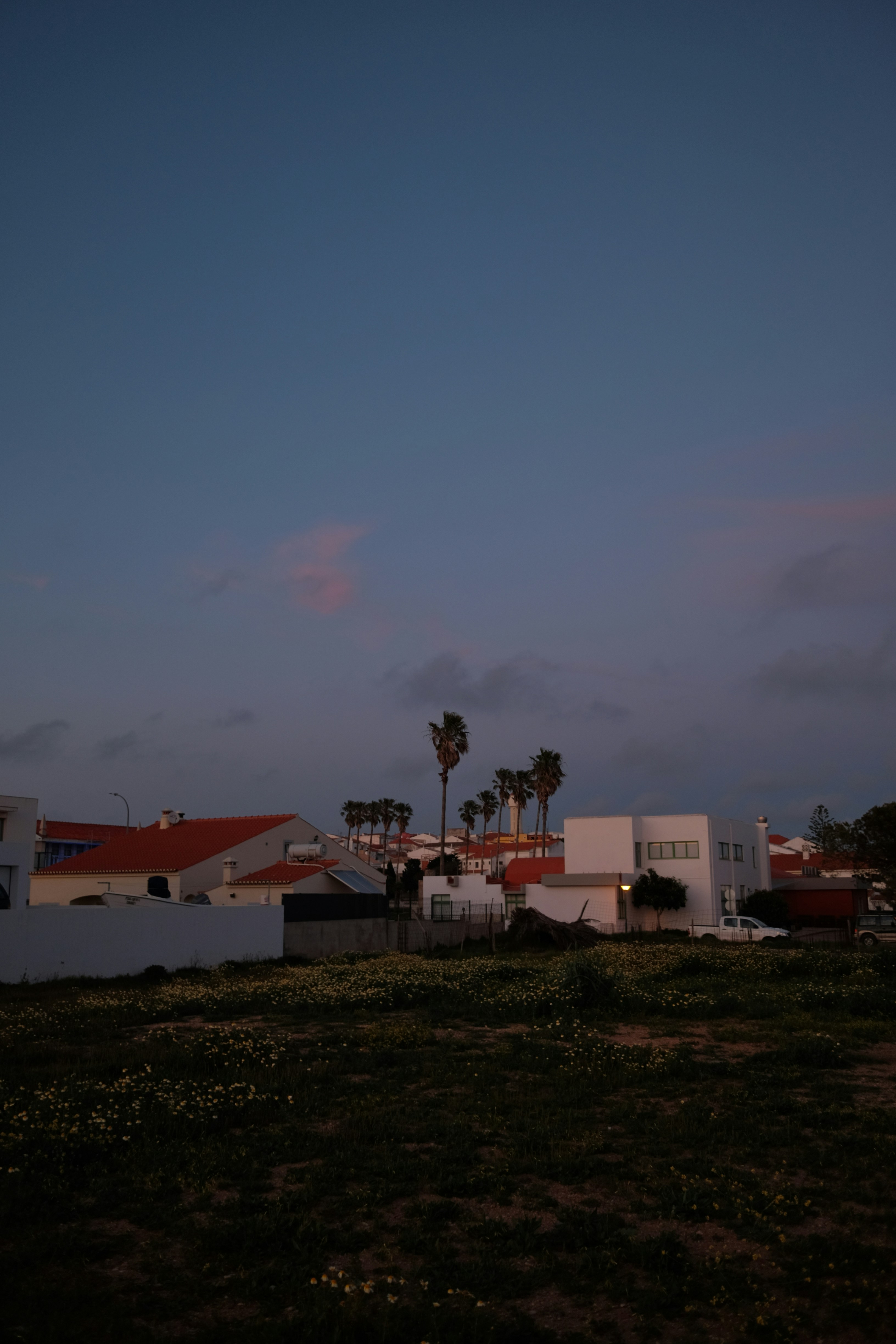 Palmen und Häuser unter einem dämmrigen Himmel.