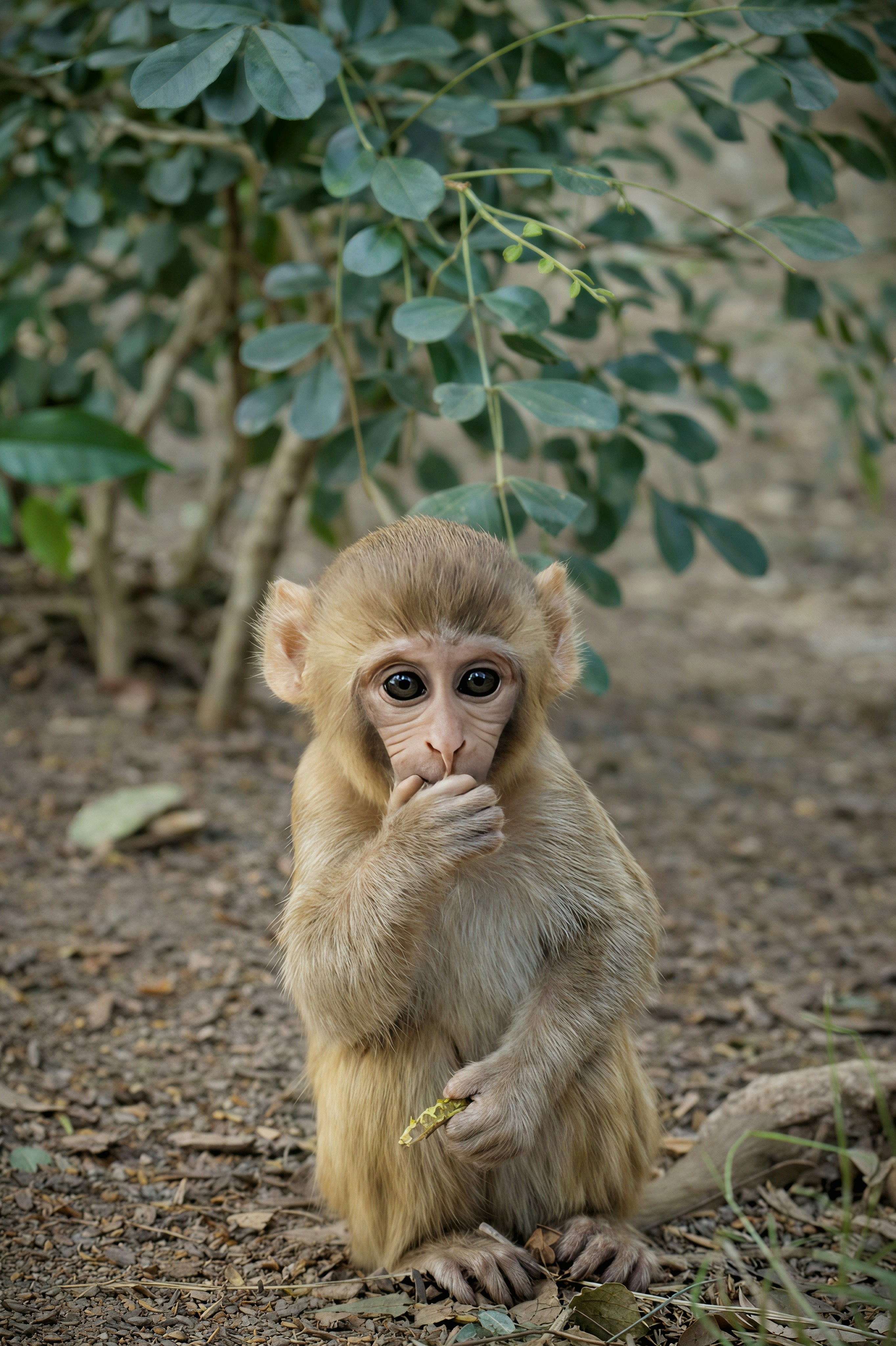 Photo by pixelsnap_visualz